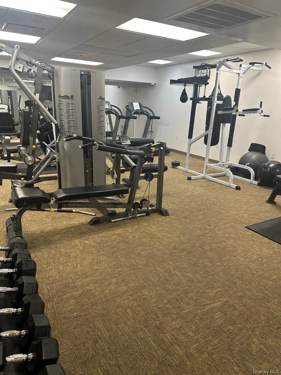 543 Main Street, New Rochelle, NY, 2 Bedrooms Bedrooms, 4 Rooms Rooms,2 BathroomsBathrooms,Residential Lease,For Rent,Main,0,994488 543 Main Street, New Rochelle, NY, 2 Bedrooms Bedrooms, 4 Rooms Rooms,2 BathroomsBathrooms,Residential Lease,For Rent,Main,0,994488