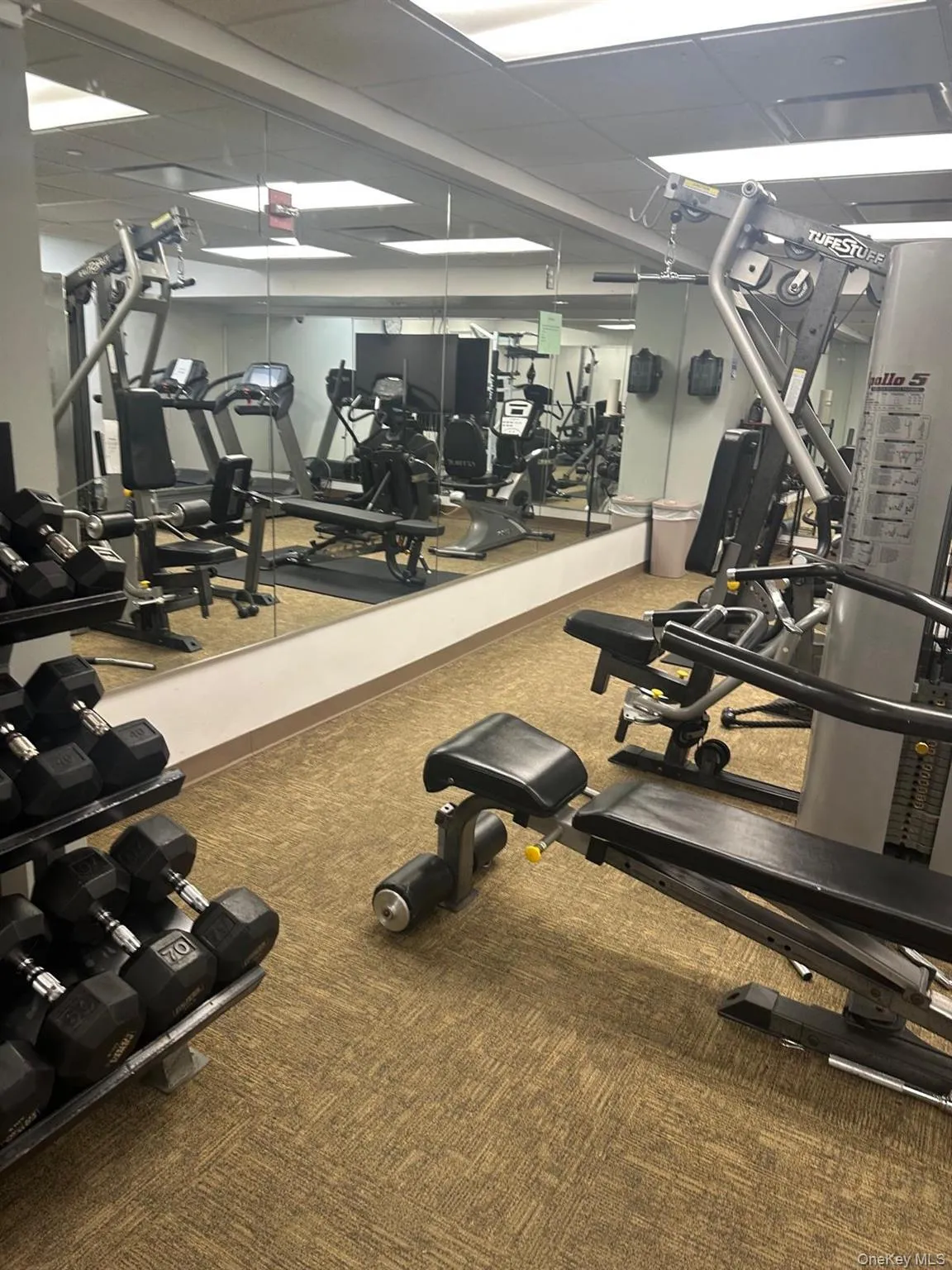 543 Main Street, New Rochelle, NY, 2 Bedrooms Bedrooms, 4 Rooms Rooms,2 BathroomsBathrooms,Residential Lease,For Rent,Main,0,994488 543 Main Street, New Rochelle, NY, 2 Bedrooms Bedrooms, 4 Rooms Rooms,2 BathroomsBathrooms,Residential Lease,For Rent,Main,0,994488