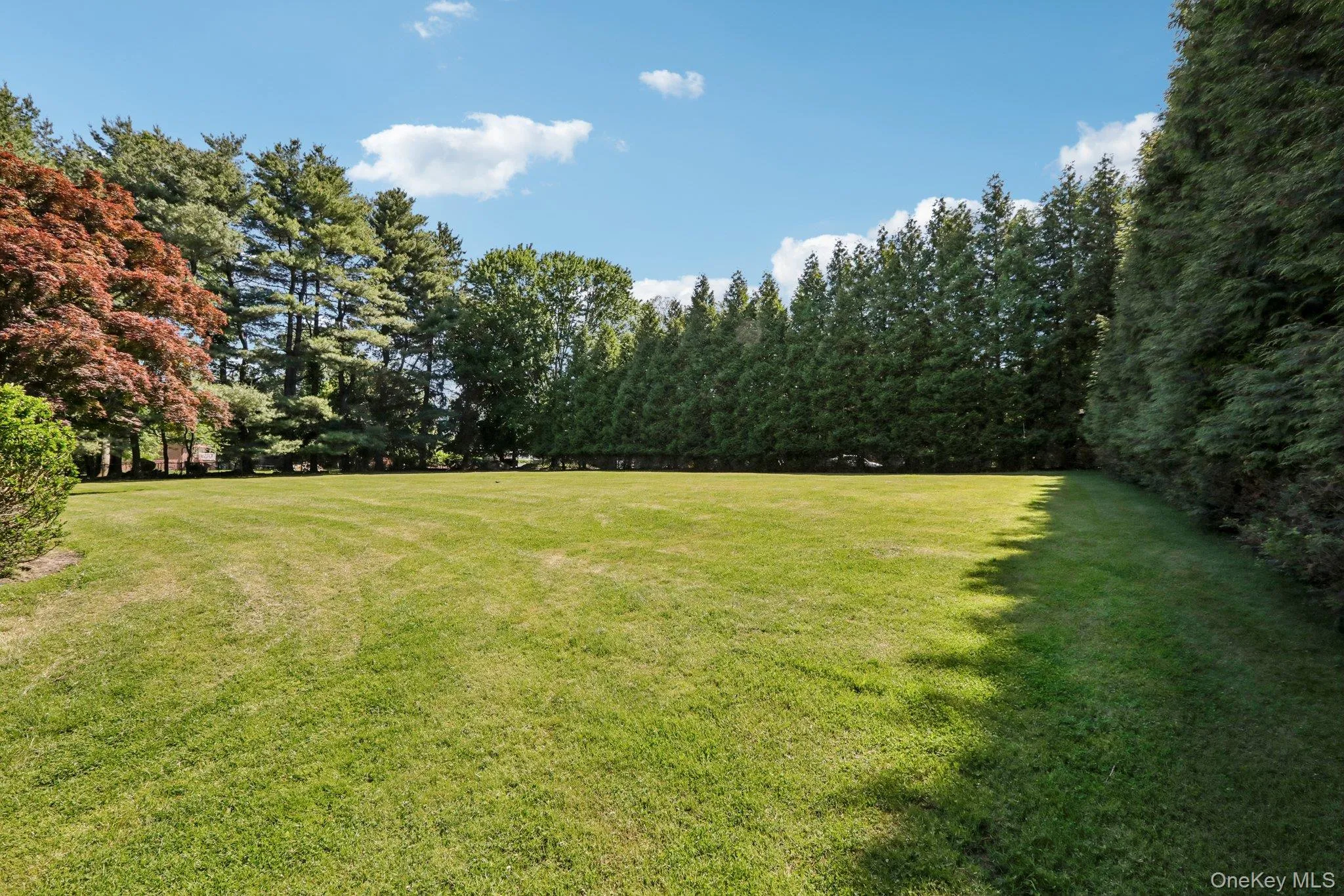 250 Old Mill Road, Clarkstown, NY, 5 Bedrooms Bedrooms, 15 Rooms Rooms,5 BathroomsBathrooms,Residential,For Rent,Old Mill,0,994533 250 Old Mill Road, Clarkstown, NY, 5 Bedrooms Bedrooms, 15 Rooms Rooms,5 BathroomsBathrooms,Residential,For Rent,Old Mill,0,994533