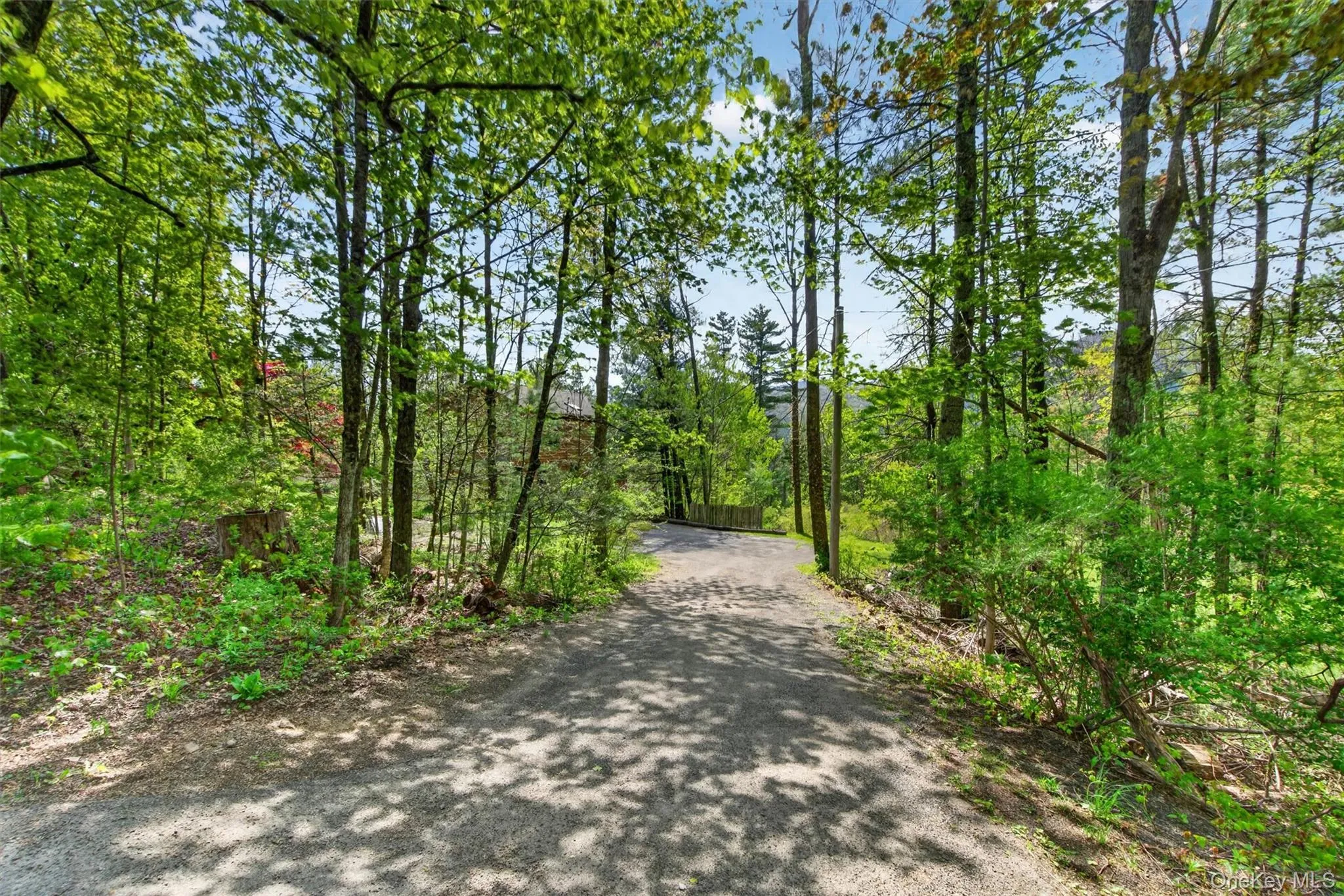 252 Upper Boiceville Road, Olive, NY, 3 Bedrooms Bedrooms, 7 Rooms Rooms,2 BathroomsBathrooms,Residential Sale,For Rent,Upper Boiceville,0,994847 252 Upper Boiceville Road, Olive, NY, 3 Bedrooms Bedrooms, 7 Rooms Rooms,2 BathroomsBathrooms,Residential Sale,For Rent,Upper Boiceville,0,994847