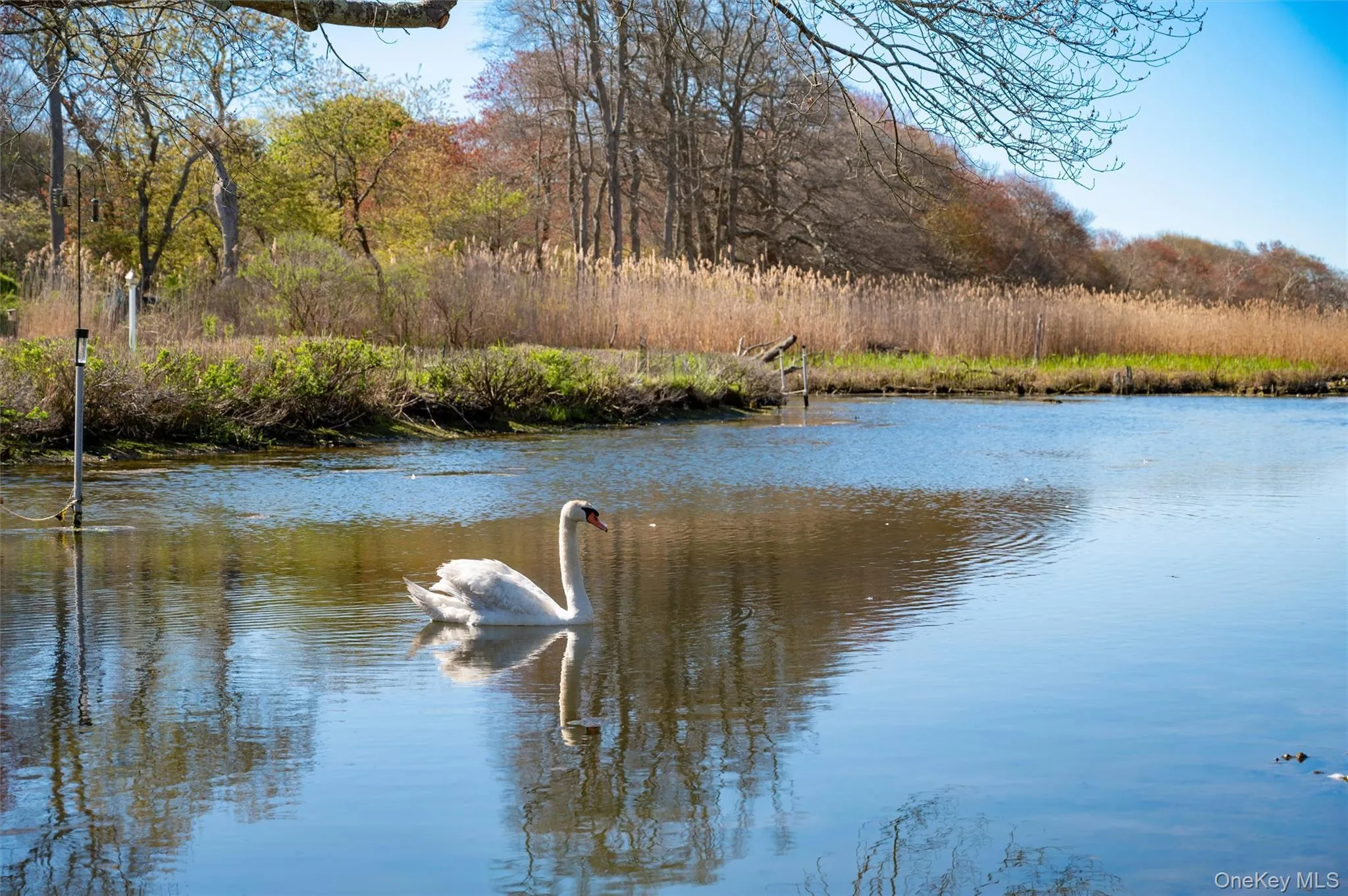 111 Country Road, Southampton, NY, 3 Bedrooms Bedrooms, 8 Rooms Rooms,3 BathroomsBathrooms,Residential,For Rent,Country,0,994875 111 Country Road, Southampton, NY, 3 Bedrooms Bedrooms, 8 Rooms Rooms,3 BathroomsBathrooms,Residential,For Rent,Country,0,994875