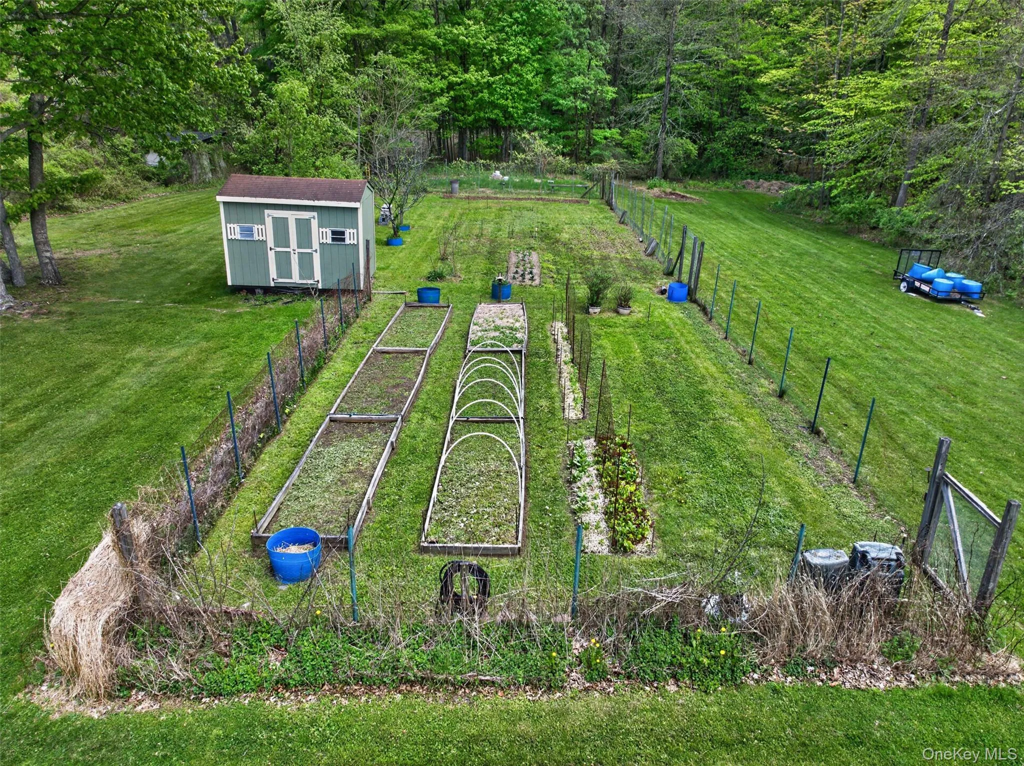 Expansive fenced garden area with multiple raised beds, a shed, and mature trees providing a natural perimeter Expansive fenced garden area with multiple raised beds, a shed, and mature trees providing a natural perimeter
