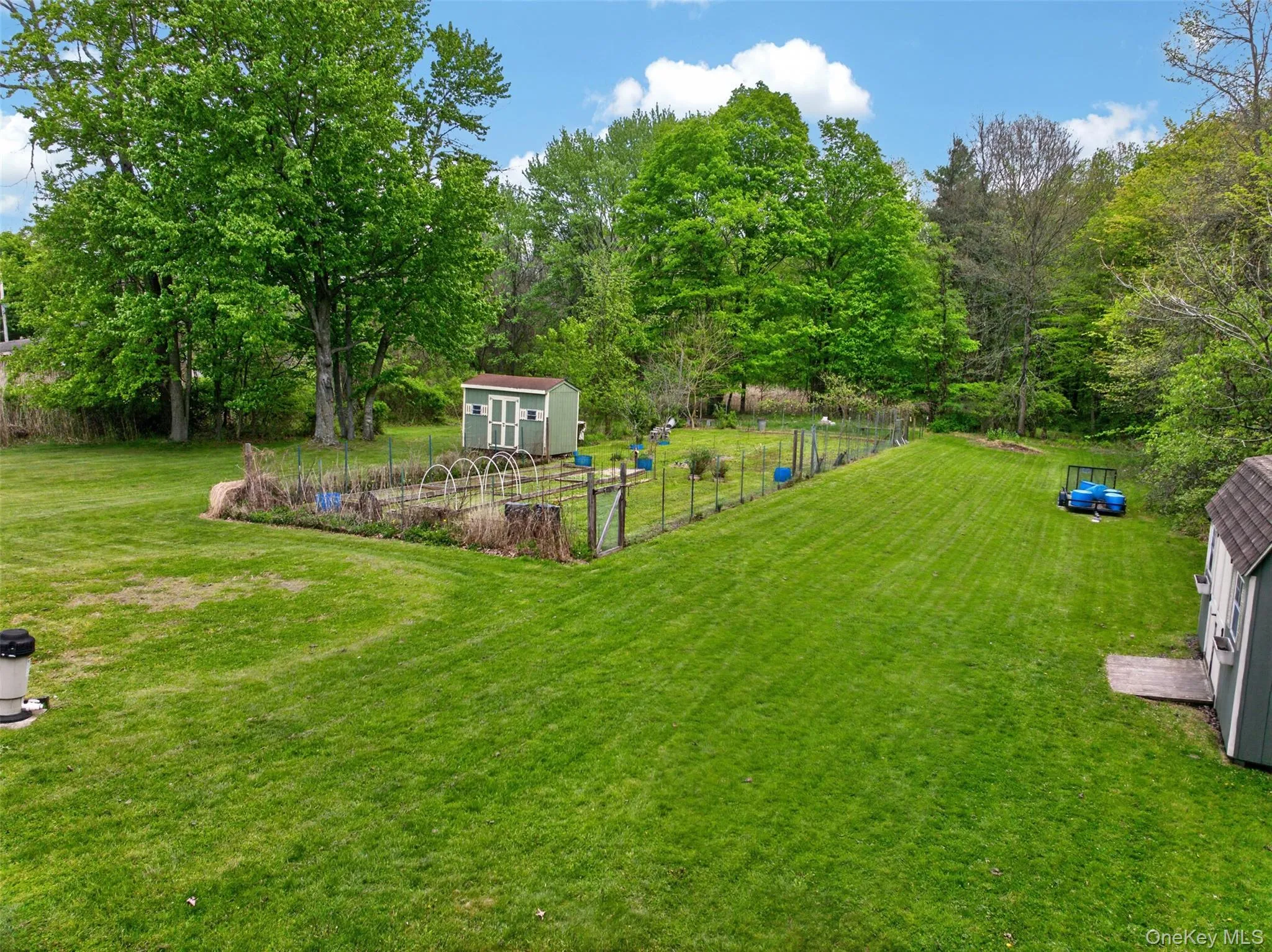 Expansive green lawn featuring a fenced garden area, mature trees, and two storage sheds Expansive green lawn featuring a fenced garden area, mature trees, and two storage sheds