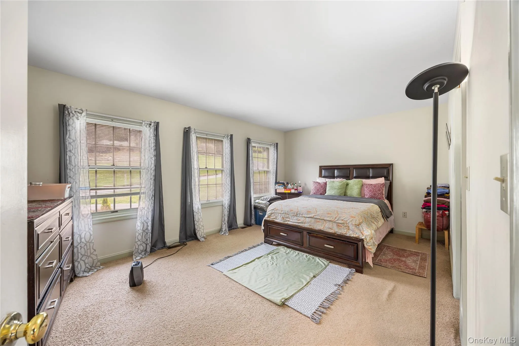 Spacious room featuring multiple double-hung windows, light-toned carpeting, and neutral wall paint Spacious room featuring multiple double-hung windows, light-toned carpeting, and neutral wall paint
