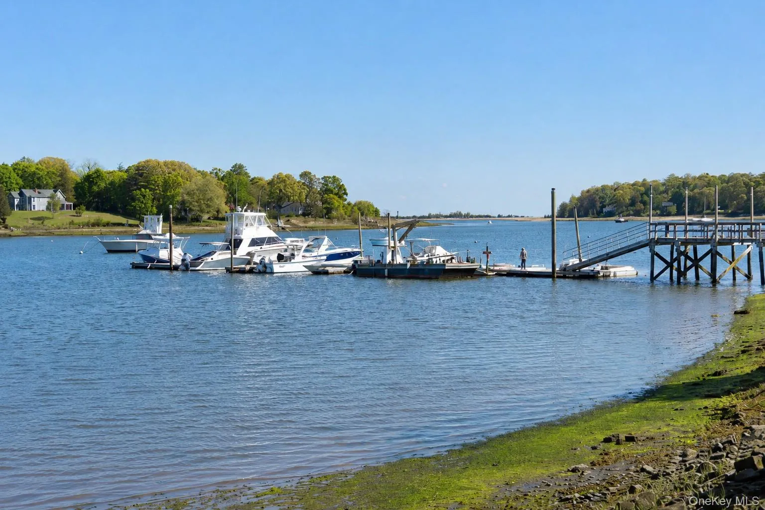 Shore Road Marina, only 1000' away Shore Road Marina, only 1000' away
