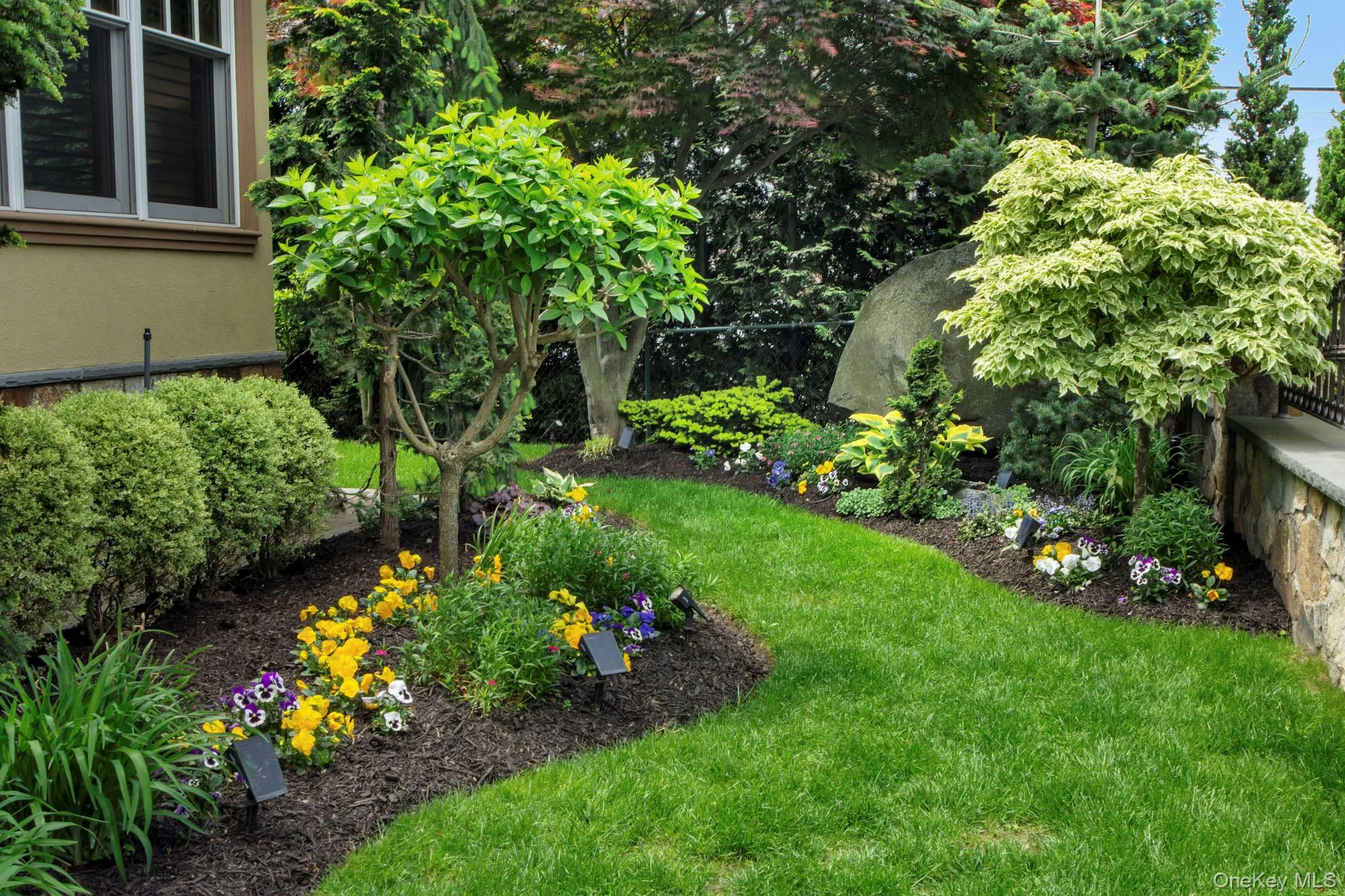 Front lush yard Front lush yard