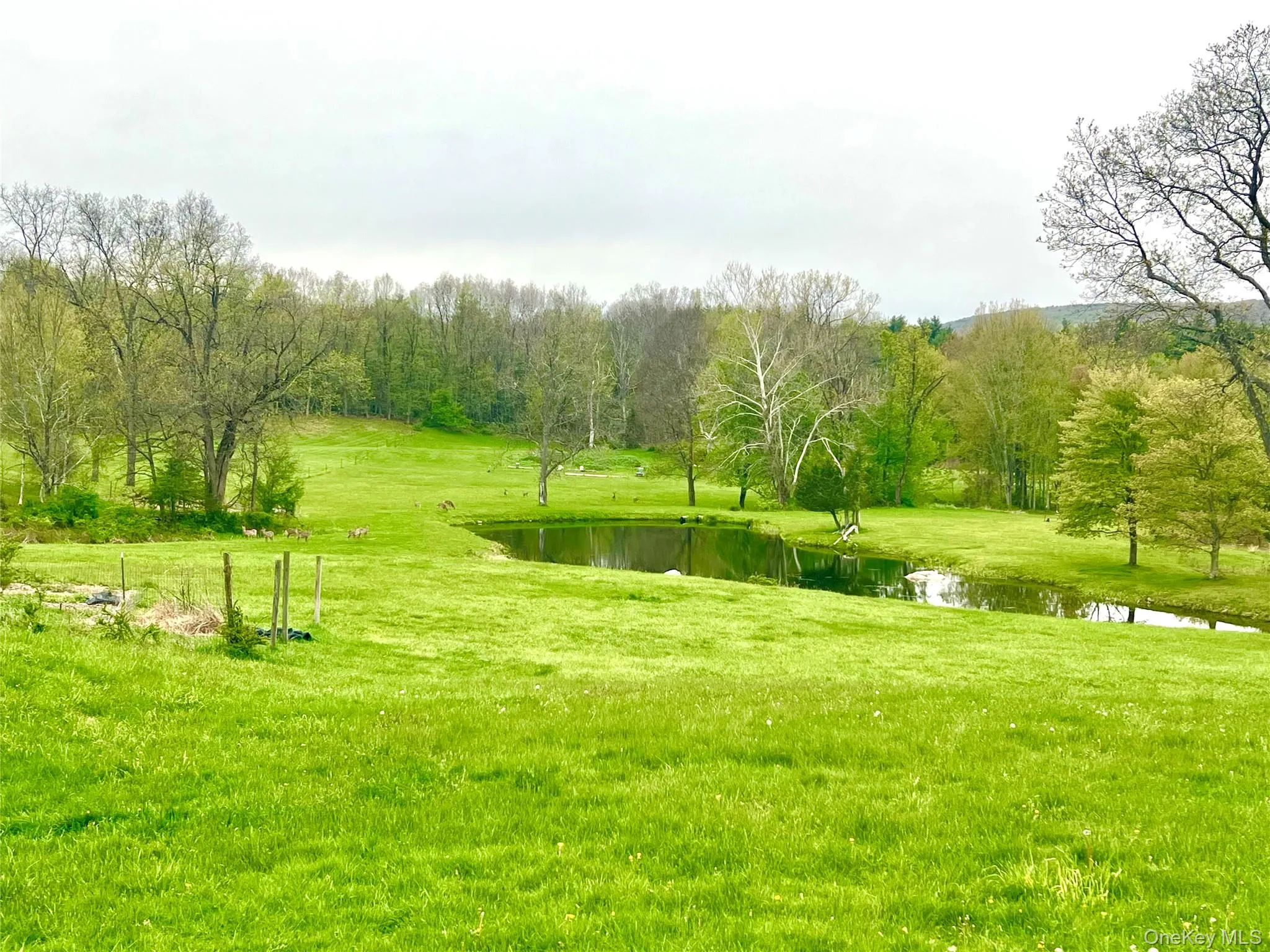 57 Hubbard Road, Wallkill, NY, 3 Bedrooms Bedrooms, 10 Rooms Rooms,1 BathroomBathrooms,Residential Lease,For Rent,Hubbard,0,995049 57 Hubbard Road, Wallkill, NY, 3 Bedrooms Bedrooms, 10 Rooms Rooms,1 BathroomBathrooms,Residential Lease,For Rent,Hubbard,0,995049