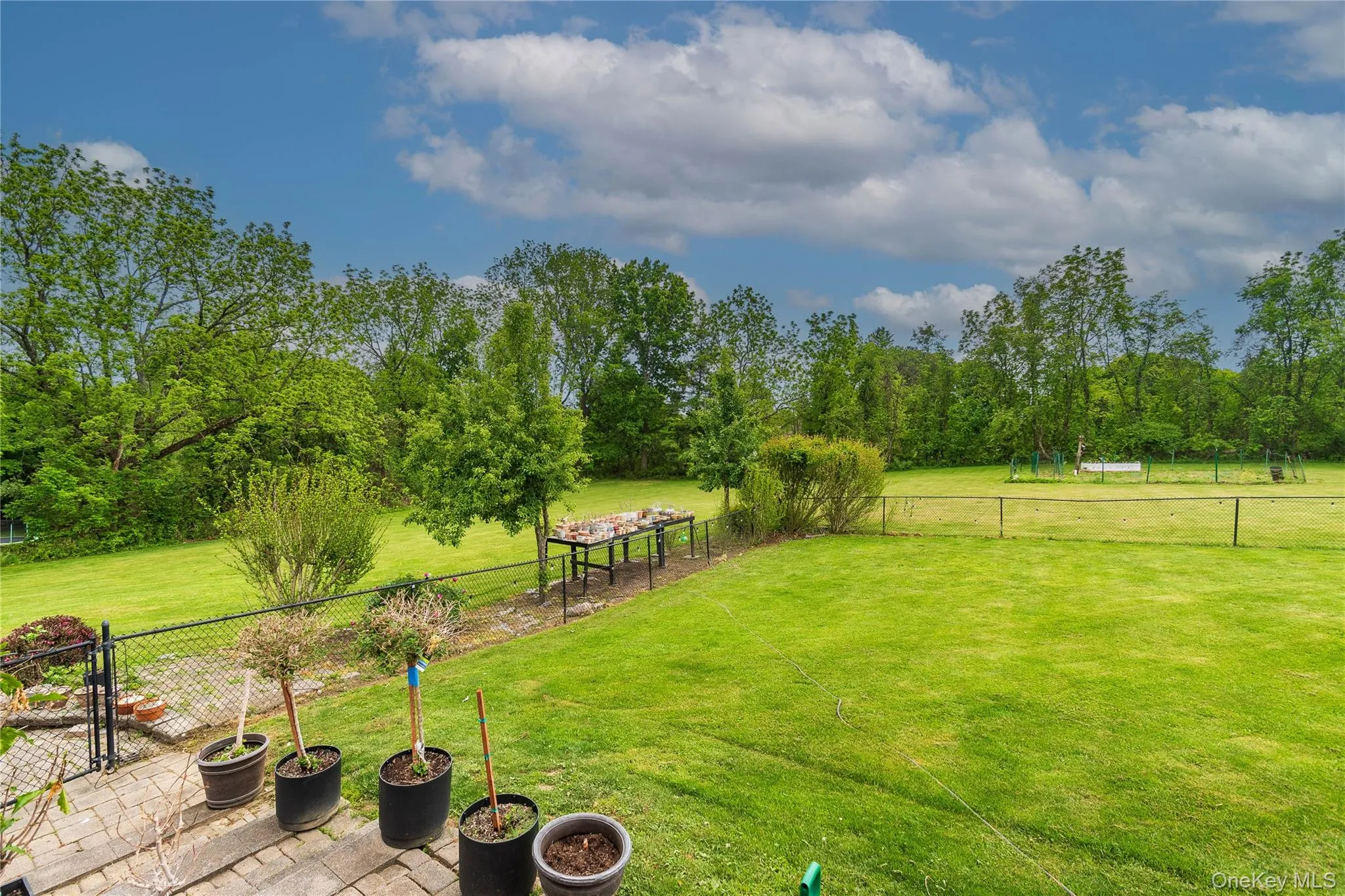 Backyard Backyard