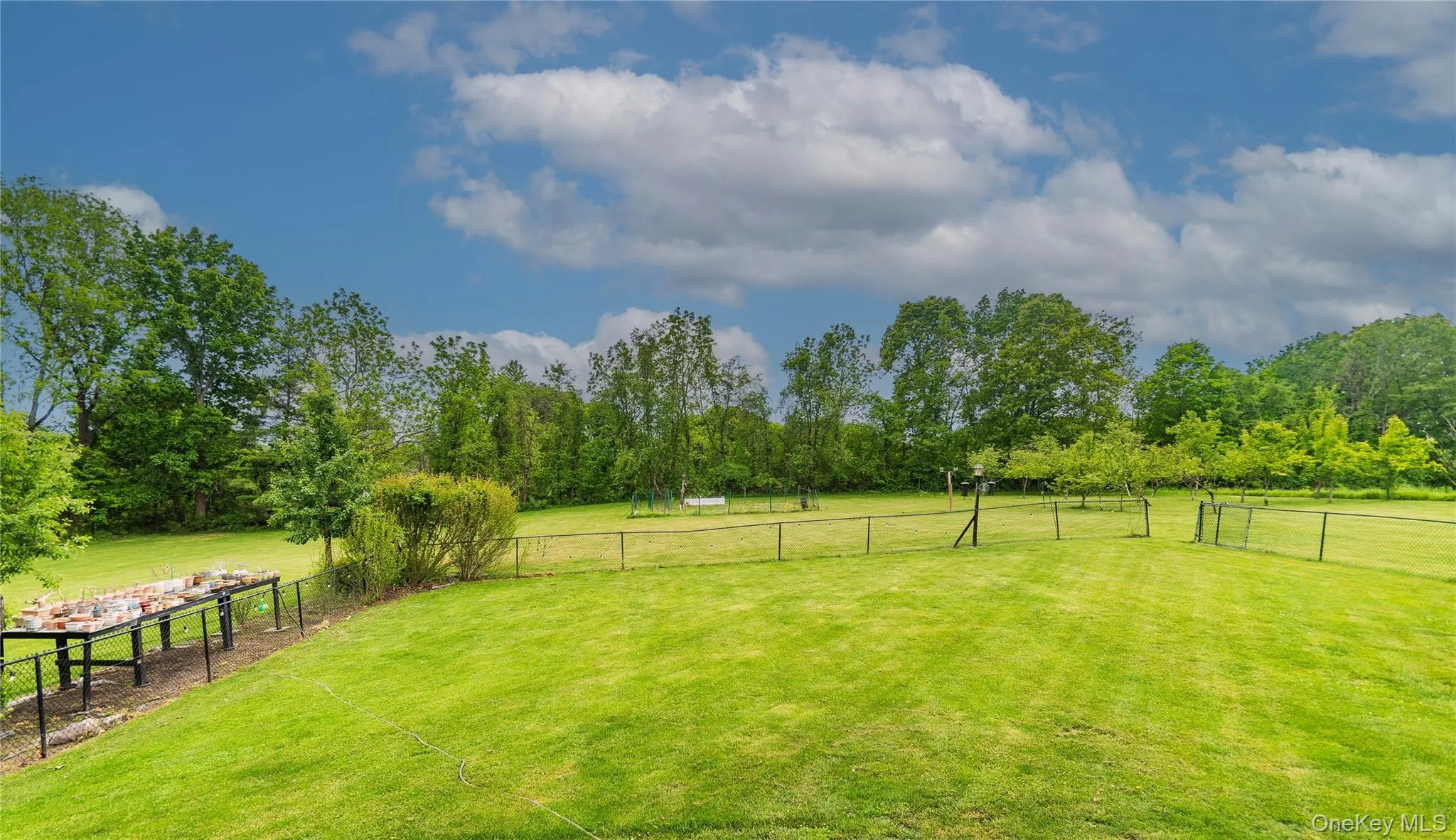 Backyard Backyard