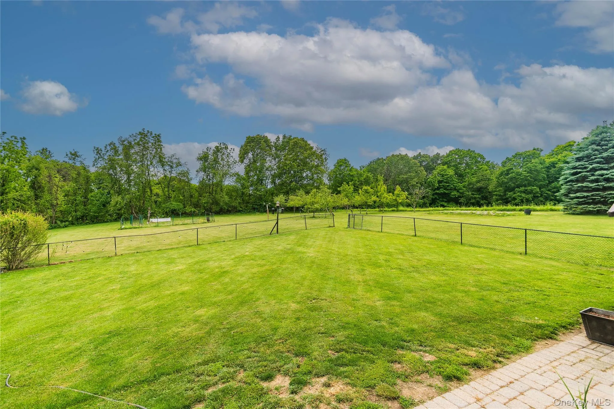 Backyard Backyard