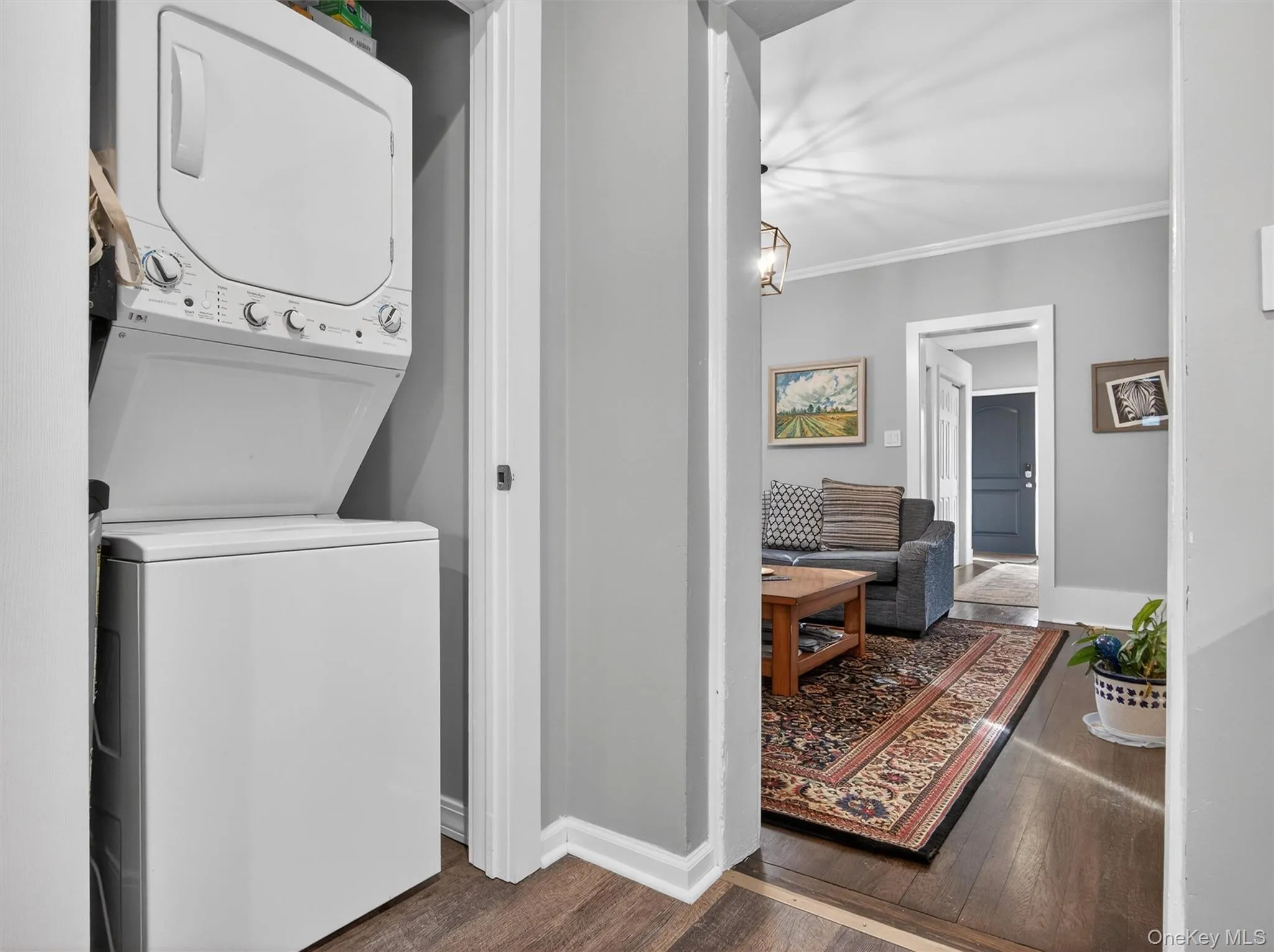 24 Park Place, Ramapo, NY, 1 Bedroom Bedrooms, 3 Rooms Rooms,1 BathroomBathrooms,Residential Lease,For Rent,Park,0,995064 24 Park Place, Ramapo, NY, 1 Bedroom Bedrooms, 3 Rooms Rooms,1 BathroomBathrooms,Residential Lease,For Rent,Park,0,995064