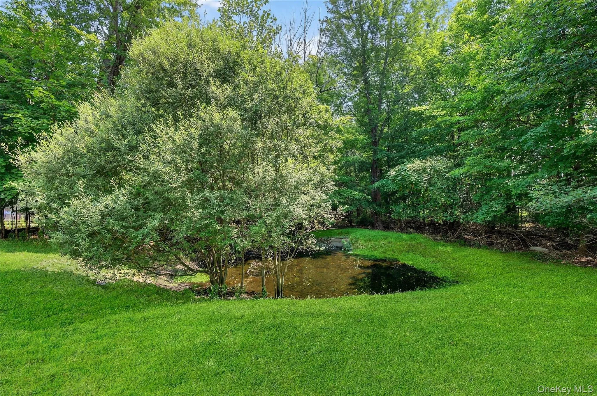 1 Lake Ridge Drive, Wallkill, NY, 2 Bedrooms Bedrooms, 8 Rooms Rooms,1 BathroomBathrooms,Residential,For Rent,Lake Ridge,0,995077 1 Lake Ridge Drive, Wallkill, NY, 2 Bedrooms Bedrooms, 8 Rooms Rooms,1 BathroomBathrooms,Residential,For Rent,Lake Ridge,0,995077