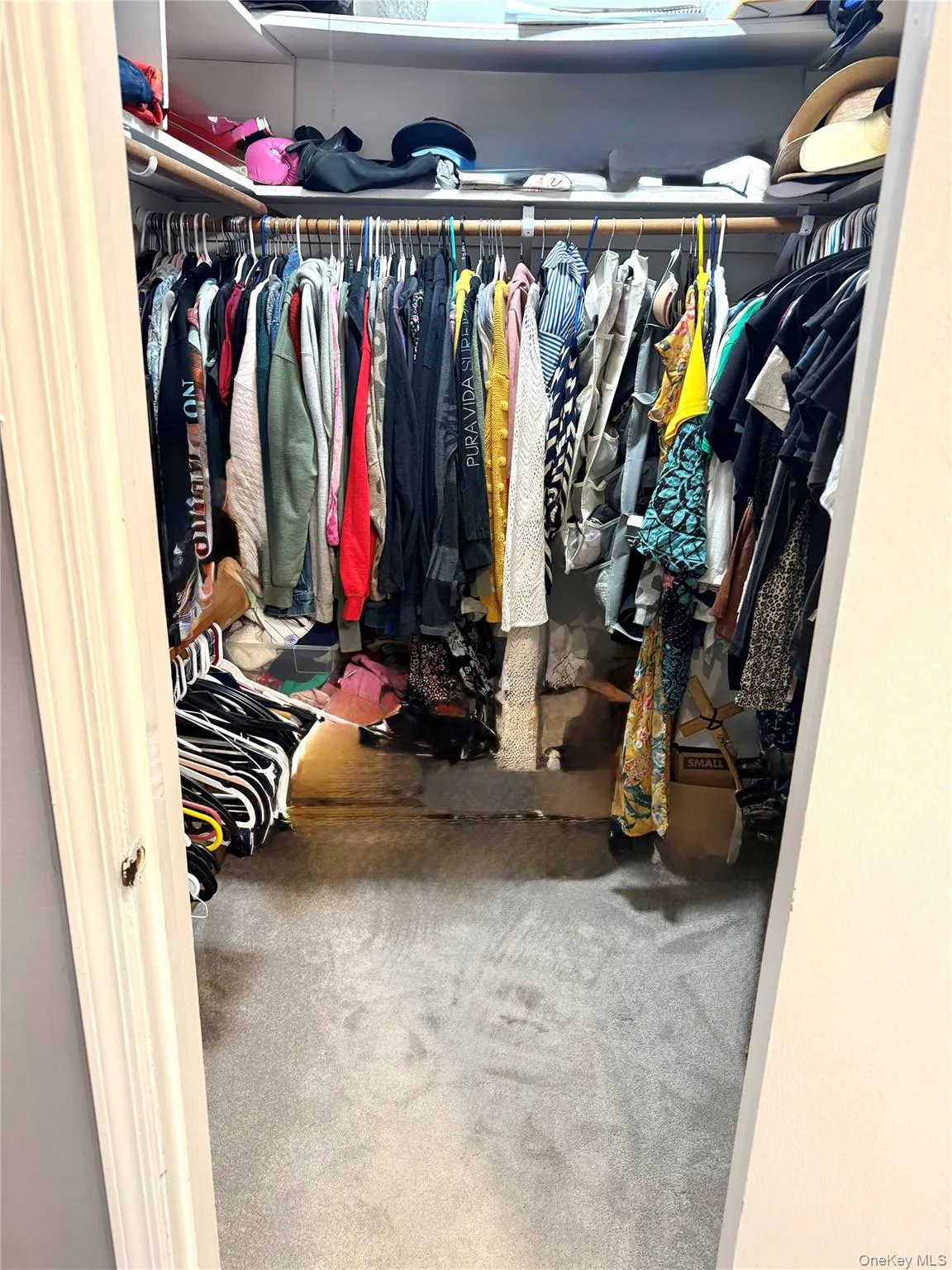 164 Somerset Drive, Ramapo, NY, 2 Bedrooms Bedrooms, 9 Rooms Rooms,2 BathroomsBathrooms,Residential,For Rent,Somerset,0,995083 164 Somerset Drive, Ramapo, NY, 2 Bedrooms Bedrooms, 9 Rooms Rooms,2 BathroomsBathrooms,Residential,For Rent,Somerset,0,995083