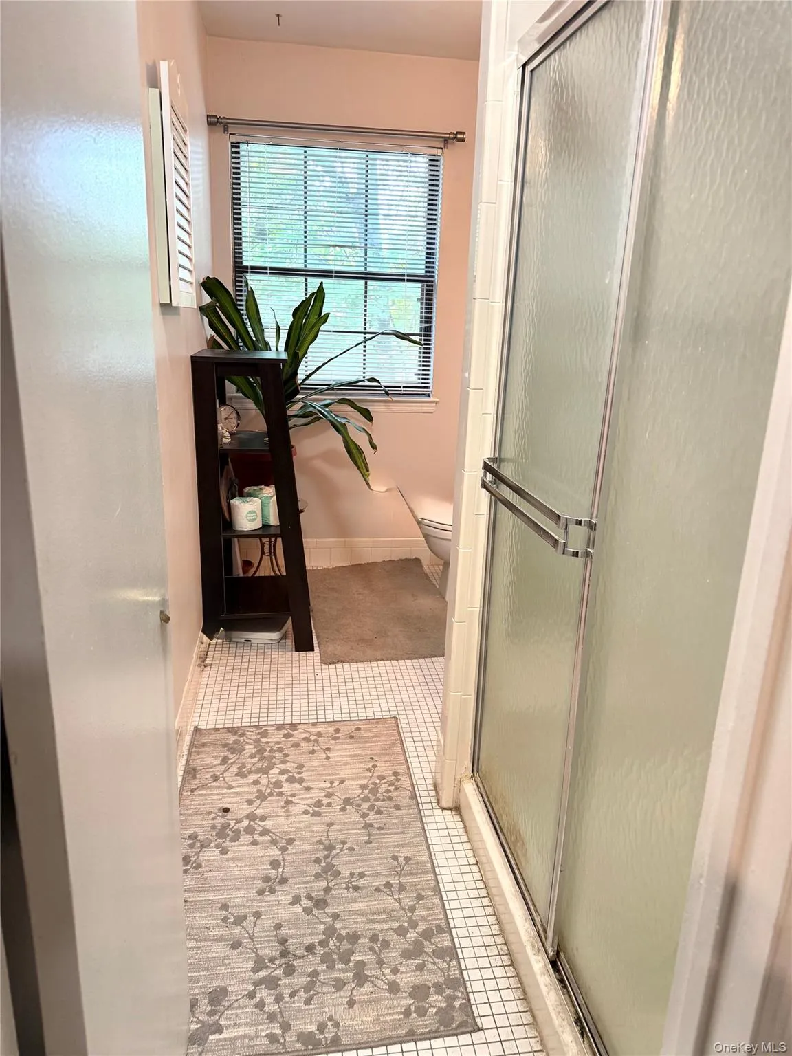 164 Somerset Drive, Ramapo, NY, 2 Bedrooms Bedrooms, 9 Rooms Rooms,2 BathroomsBathrooms,Residential,For Rent,Somerset,0,995083 164 Somerset Drive, Ramapo, NY, 2 Bedrooms Bedrooms, 9 Rooms Rooms,2 BathroomsBathrooms,Residential,For Rent,Somerset,0,995083