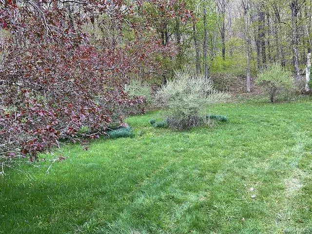 Left side of the yard Left side of the yard