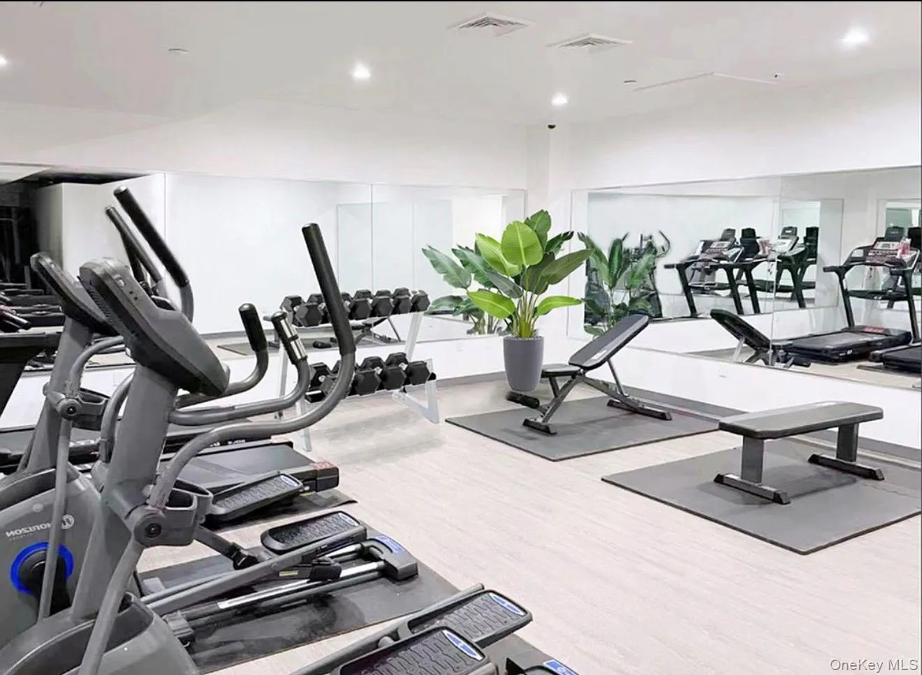 56-02 31st Avenue, New York, NY, 2 Bedrooms Bedrooms, 4 Rooms Rooms,2 BathroomsBathrooms,Residential Lease,For Rent,31st,0,995311 56-02 31st Avenue, New York, NY, 2 Bedrooms Bedrooms, 4 Rooms Rooms,2 BathroomsBathrooms,Residential Lease,For Rent,31st,0,995311