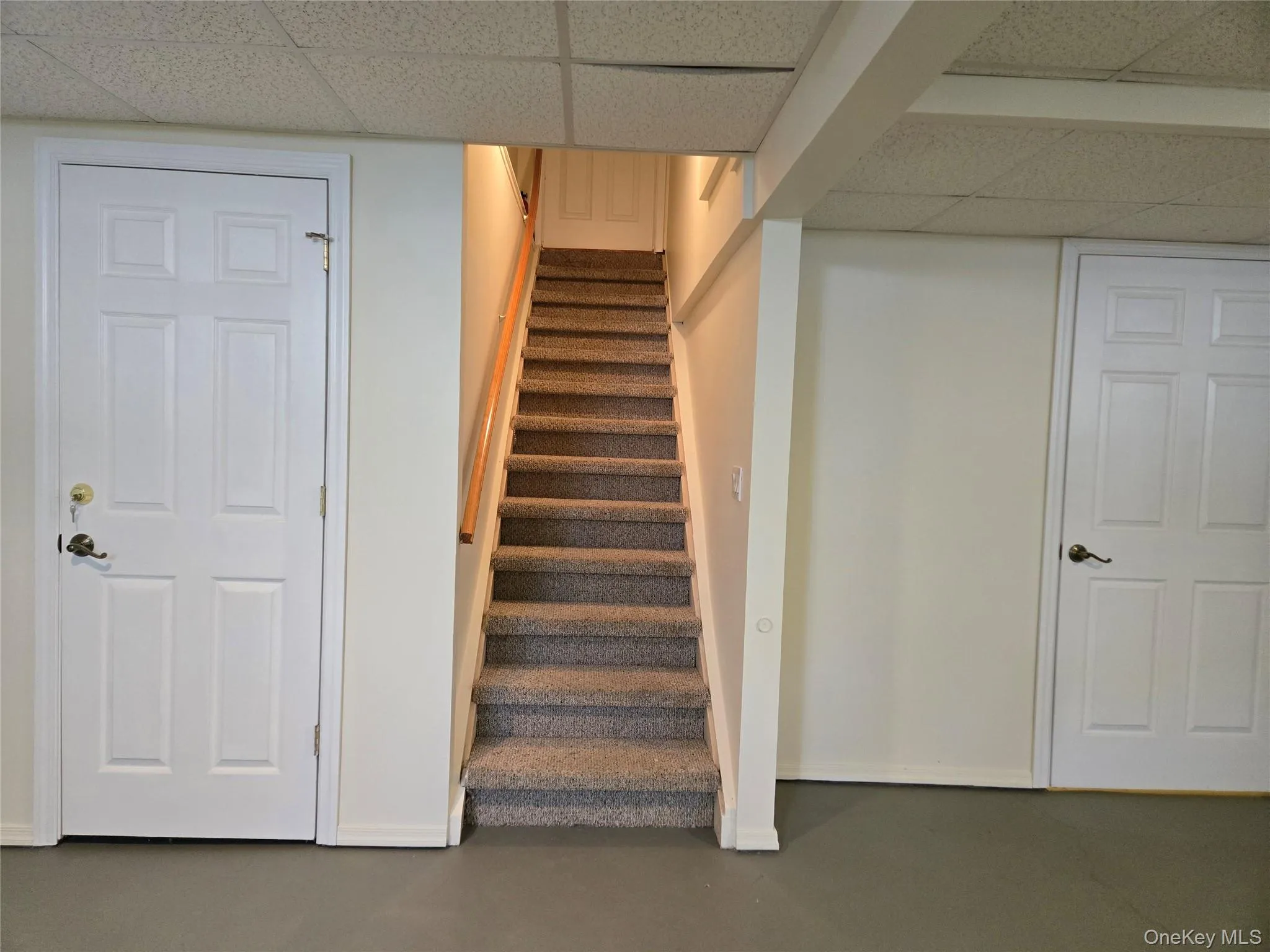 basement basement
