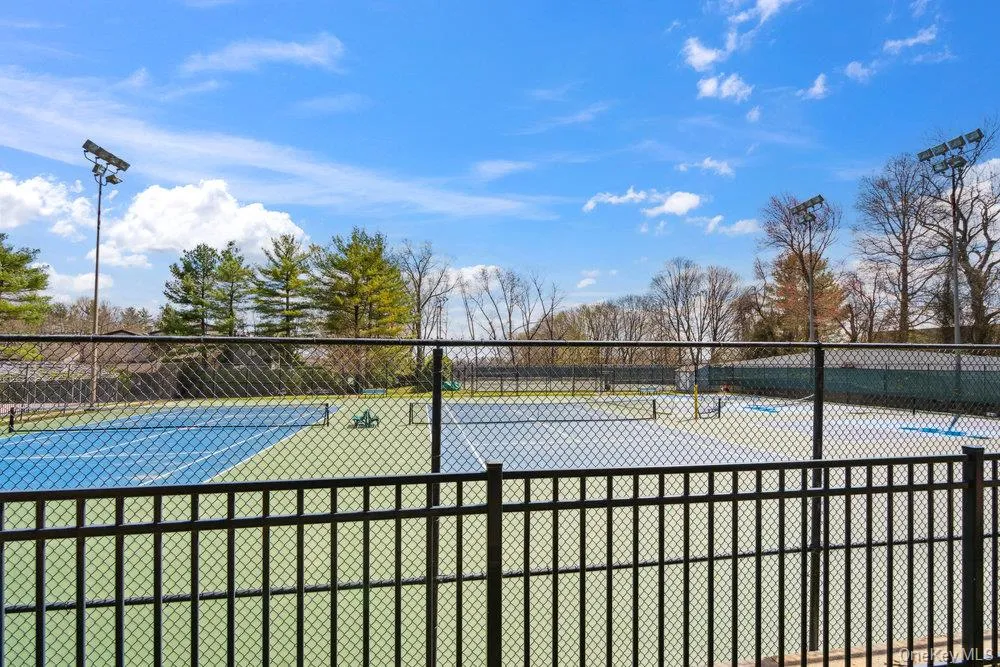 pickle ball pickle ball