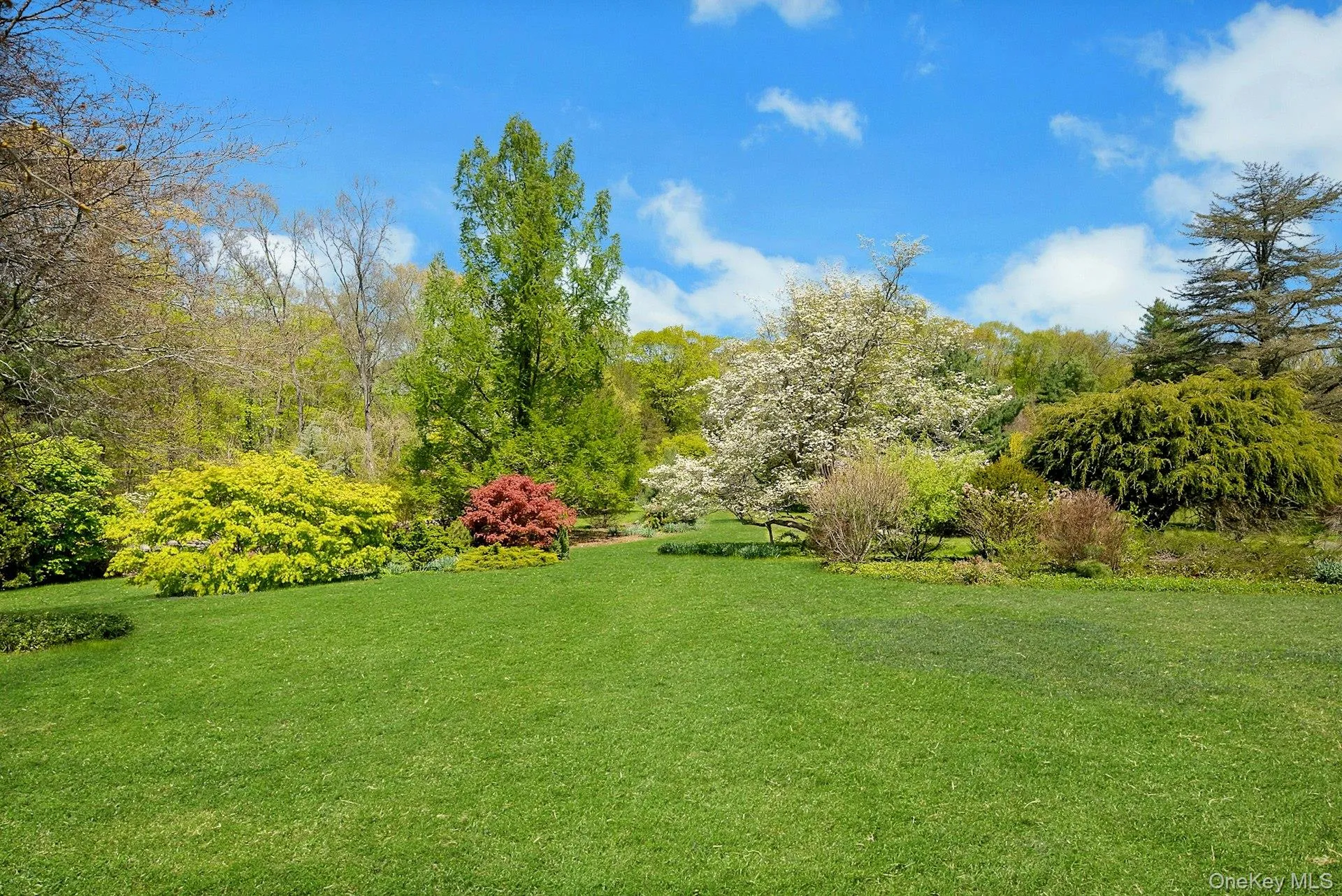 Park-like setting with beautiful specimen trees Park-like setting with beautiful specimen trees