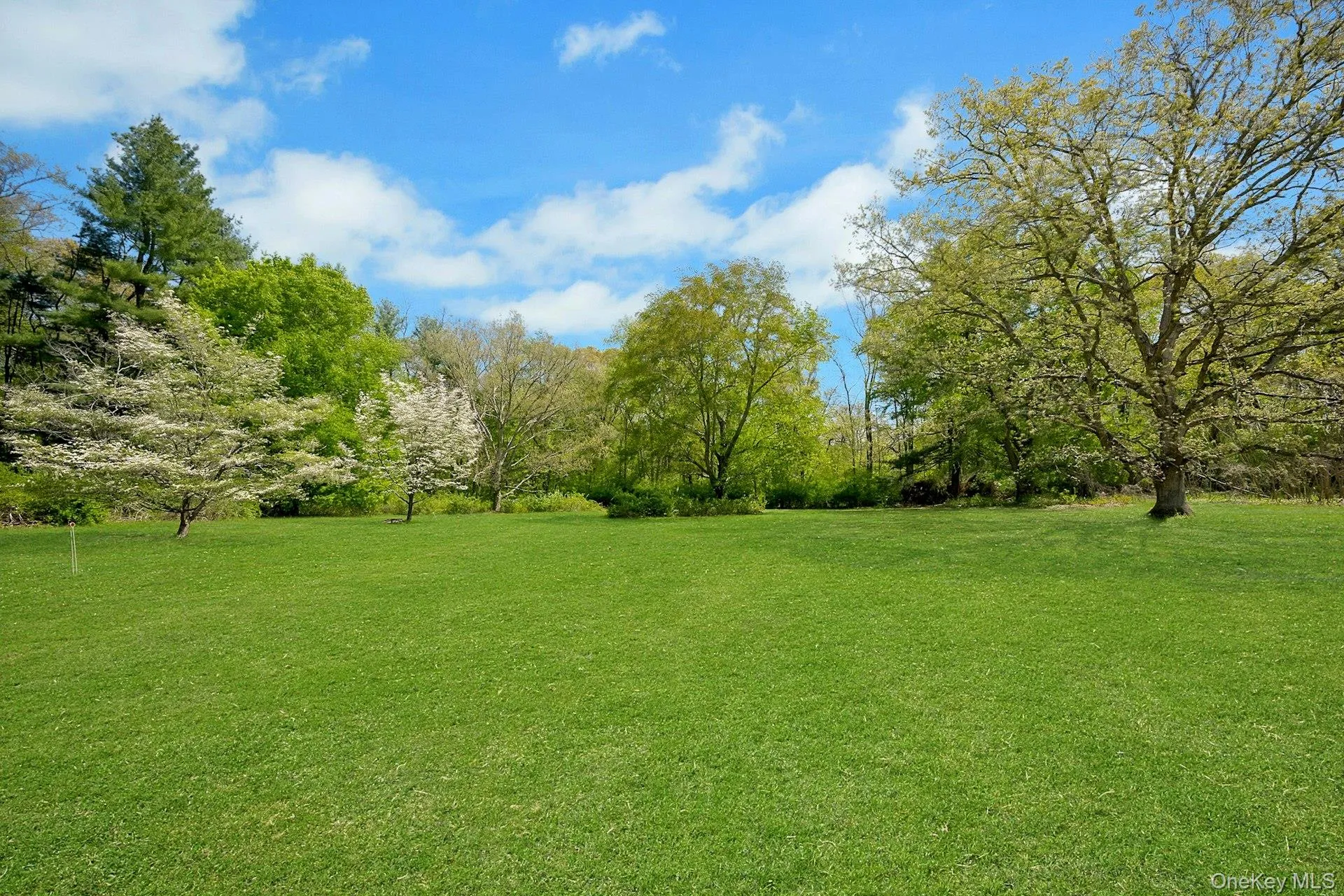 Dream of having a soccer field in your yard? That can become a realty. Dream of having a soccer field in your yard? That can become a realty.