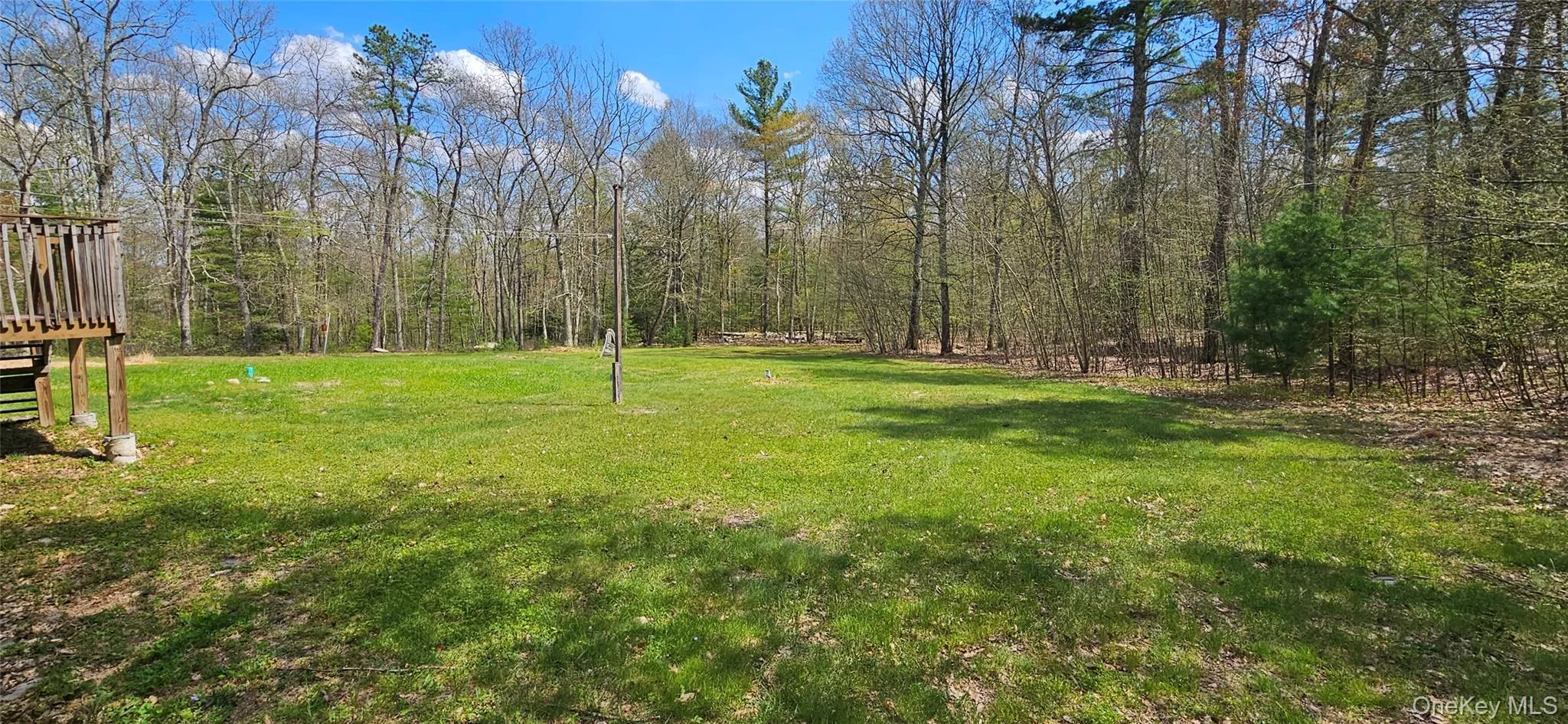 Expansive grassy area bordered by mature trees Expansive grassy area bordered by mature trees