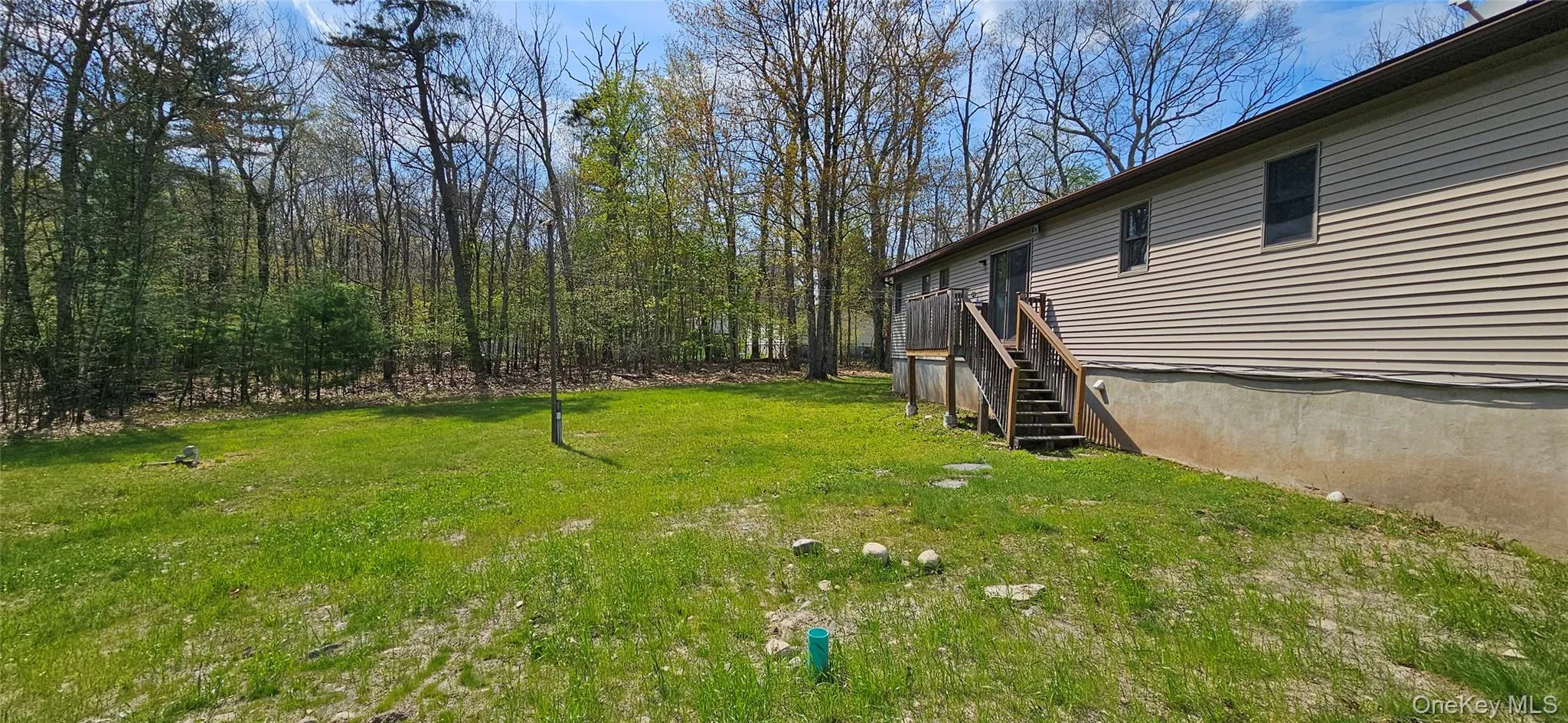 Expansive backyard featuring a lush lawn and mature trees Expansive backyard featuring a lush lawn and mature trees