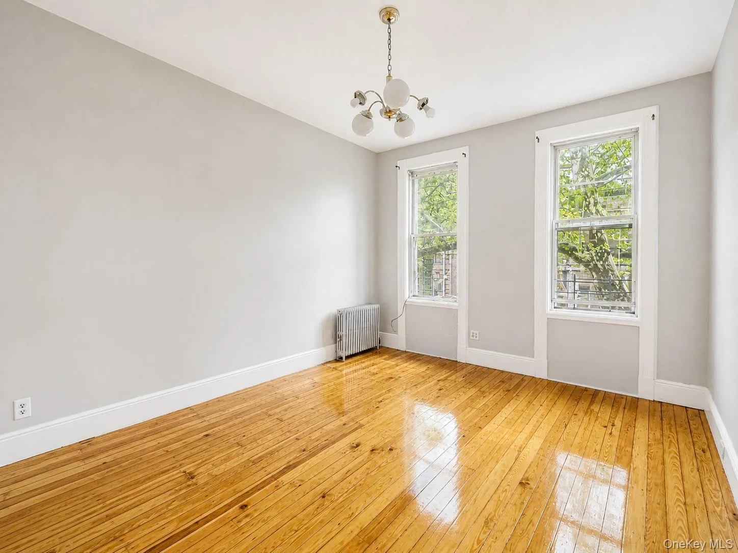 1925 Palmetto Street, New York, NY, 1 Bedroom Bedrooms, 2 Rooms Rooms,1 BathroomBathrooms,Residential Lease,For Rent,Palmetto,0,995606 1925 Palmetto Street, New York, NY, 1 Bedroom Bedrooms, 2 Rooms Rooms,1 BathroomBathrooms,Residential Lease,For Rent,Palmetto,0,995606