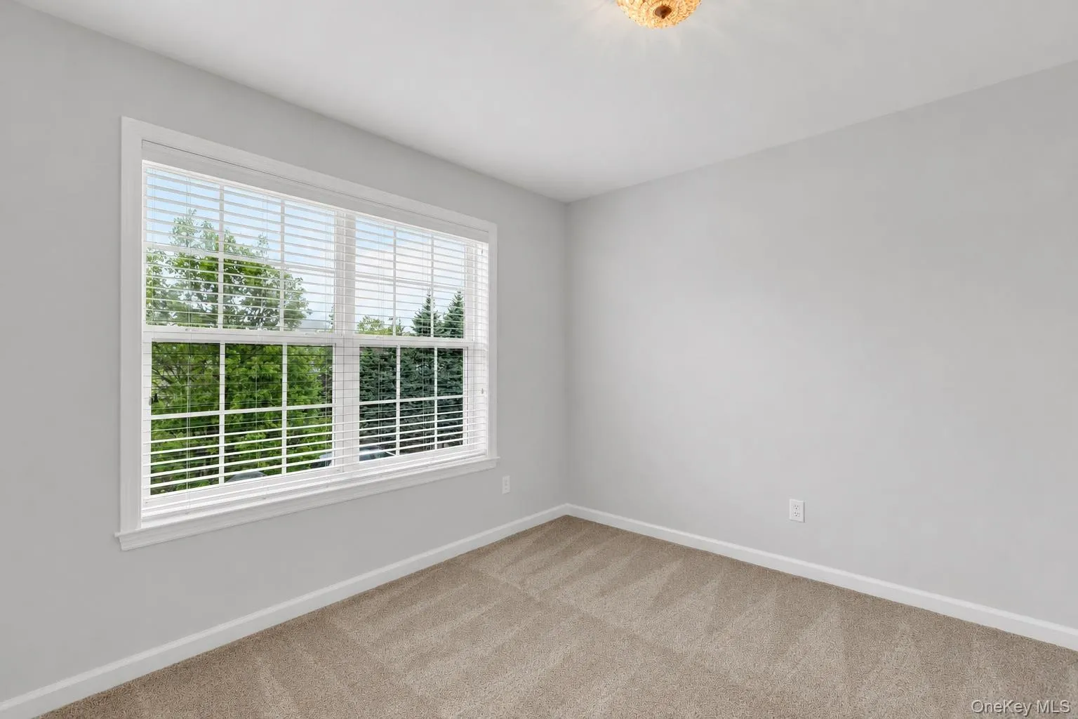 5 Terrace Lane, Brookhaven, NY, 3 Bedrooms Bedrooms, 8 Rooms Rooms,2 BathroomsBathrooms,Residential,For Rent,Terrace,0,995655 5 Terrace Lane, Brookhaven, NY, 3 Bedrooms Bedrooms, 8 Rooms Rooms,2 BathroomsBathrooms,Residential,For Rent,Terrace,0,995655
