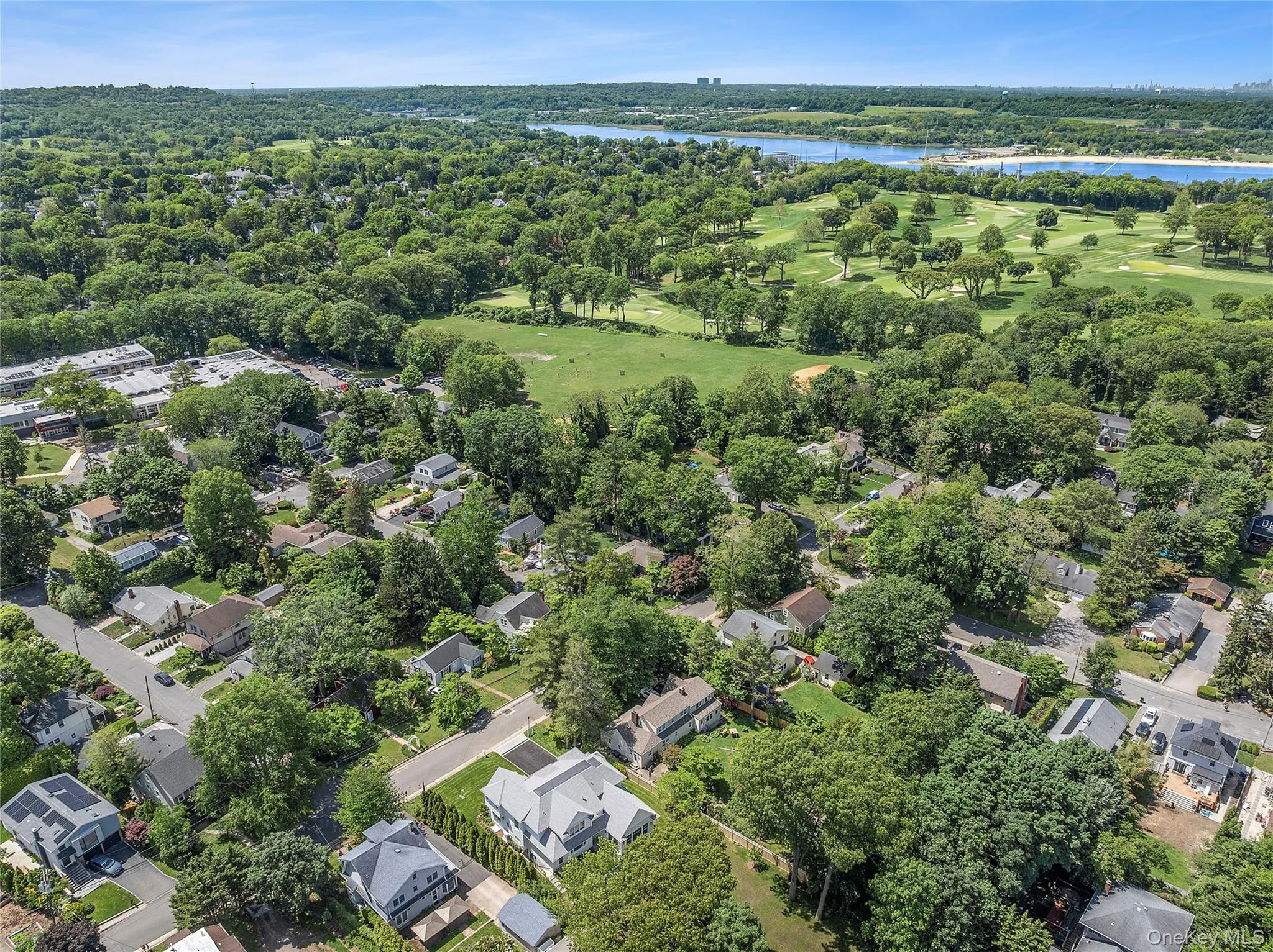 Aerial view showcasing a residential area with mature trees Aerial view showcasing a residential area with mature trees