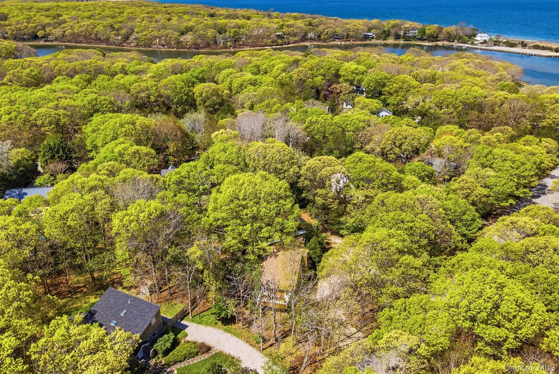 20 Norfolk Drive, East Hampton, NY, 3 Bedrooms Bedrooms, 5 Rooms Rooms,2 BathroomsBathrooms,Residential,For Rent,Norfolk,0,995760 20 Norfolk Drive, East Hampton, NY, 3 Bedrooms Bedrooms, 5 Rooms Rooms,2 BathroomsBathrooms,Residential,For Rent,Norfolk,0,995760