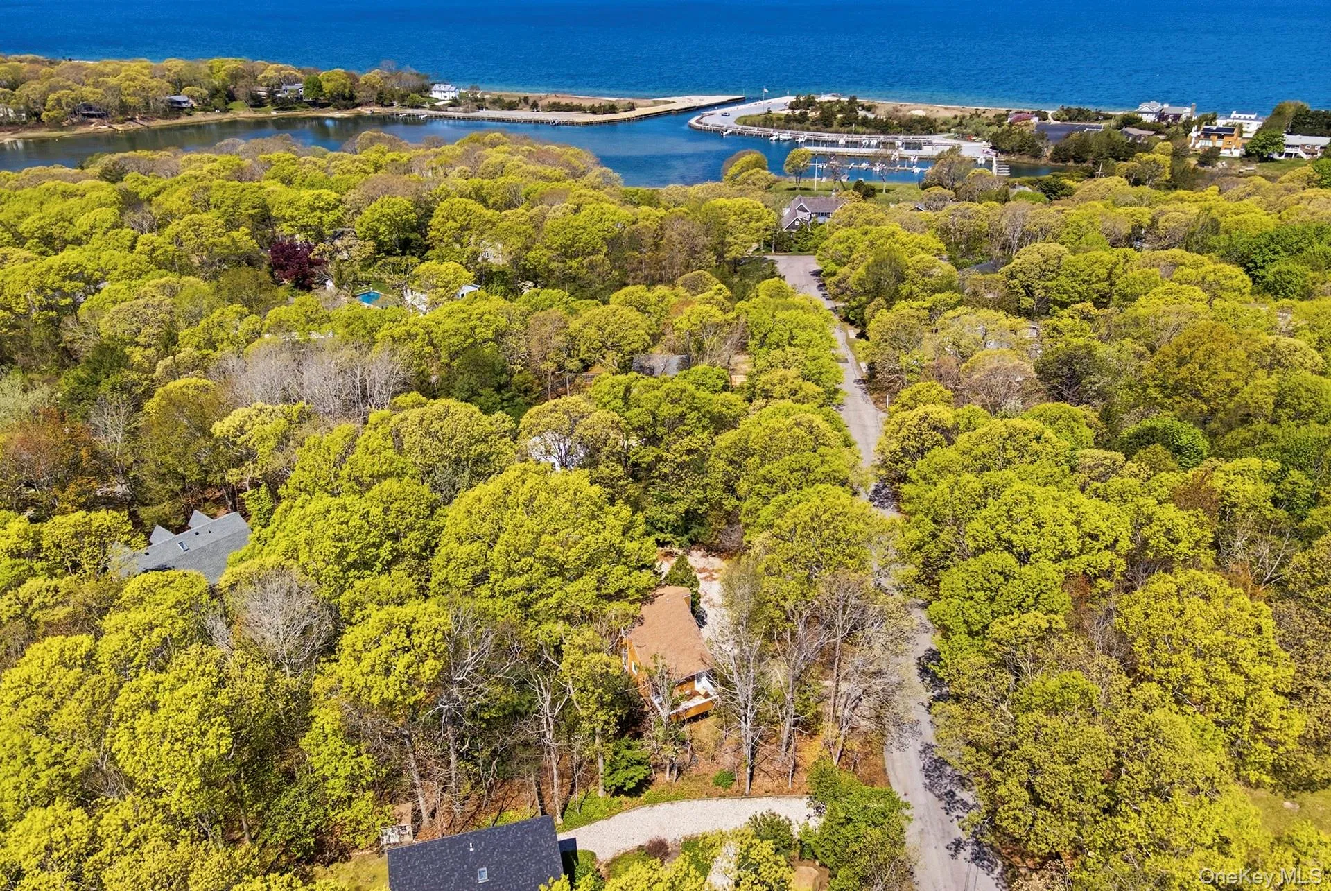20 Norfolk Drive, East Hampton, NY, 3 Bedrooms Bedrooms, 5 Rooms Rooms,2 BathroomsBathrooms,Residential,For Rent,Norfolk,0,995760 20 Norfolk Drive, East Hampton, NY, 3 Bedrooms Bedrooms, 5 Rooms Rooms,2 BathroomsBathrooms,Residential,For Rent,Norfolk,0,995760