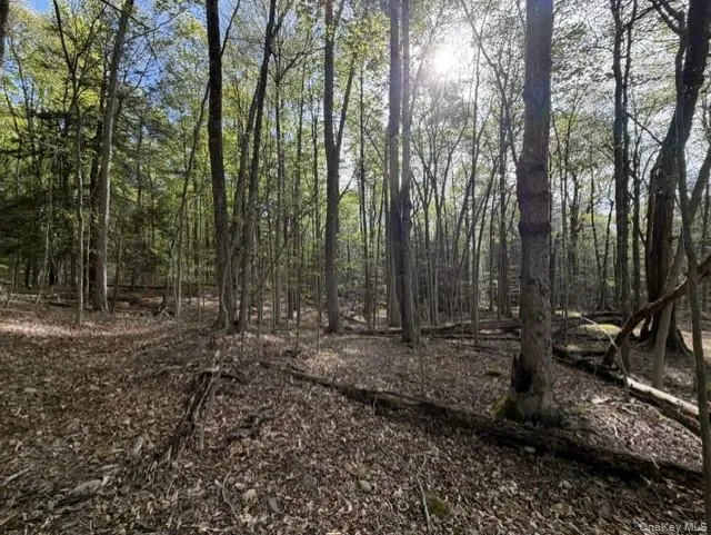 Glenwild Drive, Bethel, NY, ,Land,For Rent,Glenwild,0,995785 Glenwild Drive, Bethel, NY, ,Land,For Rent,Glenwild,0,995785