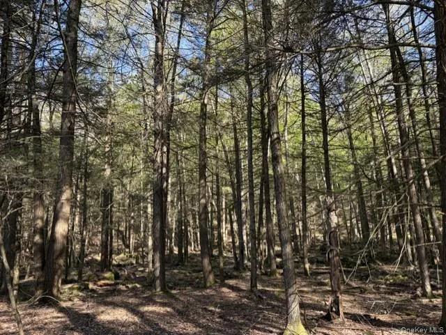 Glenwild Drive, Bethel, NY, ,Land,For Rent,Glenwild,0,995785 Glenwild Drive, Bethel, NY, ,Land,For Rent,Glenwild,0,995785