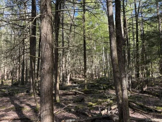Glenwild Drive, Bethel, NY, ,Land,For Rent,Glenwild,0,995785 Glenwild Drive, Bethel, NY, ,Land,For Rent,Glenwild,0,995785