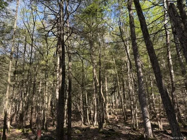 Glenwild Drive, Bethel, NY, ,Land,For Rent,Glenwild,0,995785 Glenwild Drive, Bethel, NY, ,Land,For Rent,Glenwild,0,995785