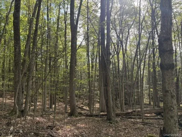 Glenwild Drive, Bethel, NY, ,Land,For Rent,Glenwild,0,995785 Glenwild Drive, Bethel, NY, ,Land,For Rent,Glenwild,0,995785