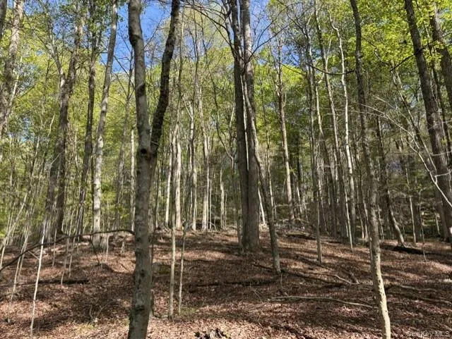 Glenwild Drive, Bethel, NY, ,Land,For Rent,Glenwild,0,995785 Glenwild Drive, Bethel, NY, ,Land,For Rent,Glenwild,0,995785
