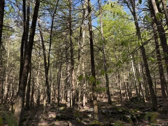 Glenwild Drive, Bethel, NY, ,Land,For Rent,Glenwild,0,995785 Glenwild Drive, Bethel, NY, ,Land,For Rent,Glenwild,0,995785