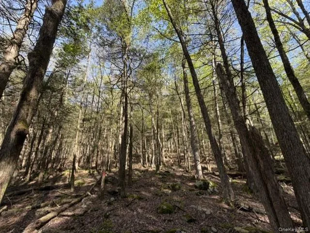 Glenwild Drive, Bethel, NY, ,Land,For Rent,Glenwild,0,995785 Glenwild Drive, Bethel, NY, ,Land,For Rent,Glenwild,0,995785