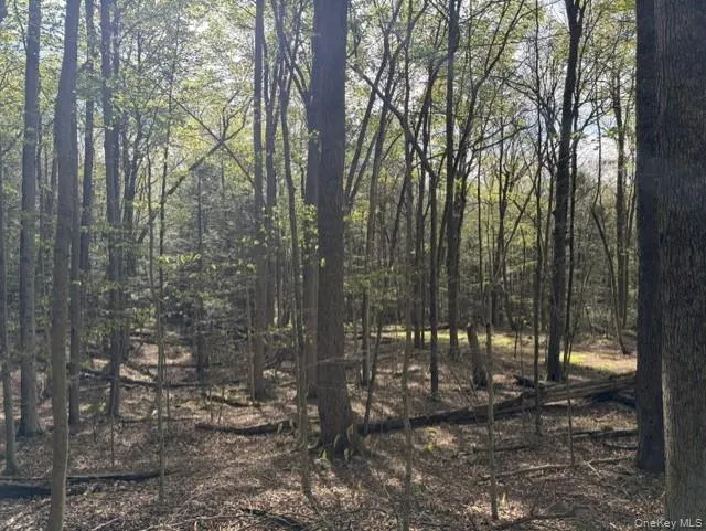 Glenwild Drive, Bethel, NY, ,Land,For Rent,Glenwild,0,995785 Glenwild Drive, Bethel, NY, ,Land,For Rent,Glenwild,0,995785