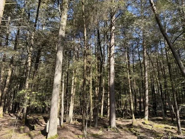 Glenwild Drive, Bethel, NY, ,Land,For Rent,Glenwild,0,995785 Glenwild Drive, Bethel, NY, ,Land,For Rent,Glenwild,0,995785