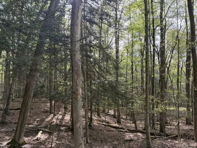 Glenwild Drive, Bethel, NY, ,Land,For Rent,Glenwild,0,995785 Glenwild Drive, Bethel, NY, ,Land,For Rent,Glenwild,0,995785