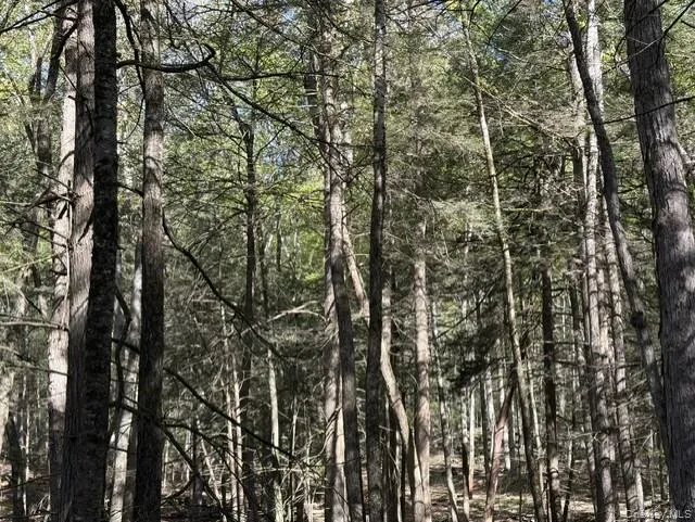 Glenwild Drive, Bethel, NY, ,Land,For Rent,Glenwild,0,995785 Glenwild Drive, Bethel, NY, ,Land,For Rent,Glenwild,0,995785