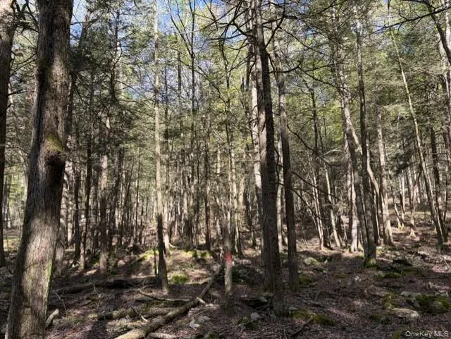 Glenwild Drive, Bethel, NY, ,Land,For Rent,Glenwild,0,995785 Glenwild Drive, Bethel, NY, ,Land,For Rent,Glenwild,0,995785