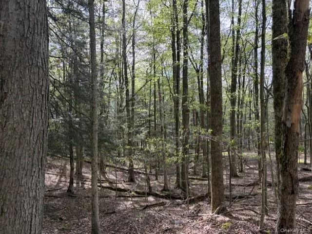 Glenwild Drive, Bethel, NY, ,Land,For Rent,Glenwild,0,995785 Glenwild Drive, Bethel, NY, ,Land,For Rent,Glenwild,0,995785