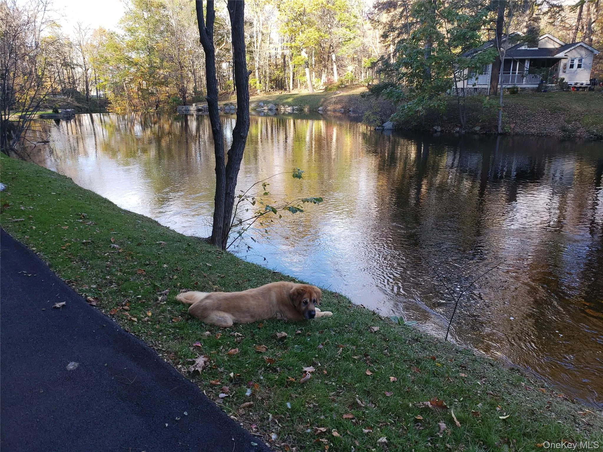 1 Mill Pond Lane, Warwick (town), NY, 2 Bedrooms Bedrooms, 4 Rooms Rooms,1 BathroomBathrooms,Residential Lease,For Rent,Mill Pond,0,995796 1 Mill Pond Lane, Warwick (town), NY, 2 Bedrooms Bedrooms, 4 Rooms Rooms,1 BathroomBathrooms,Residential Lease,For Rent,Mill Pond,0,995796
