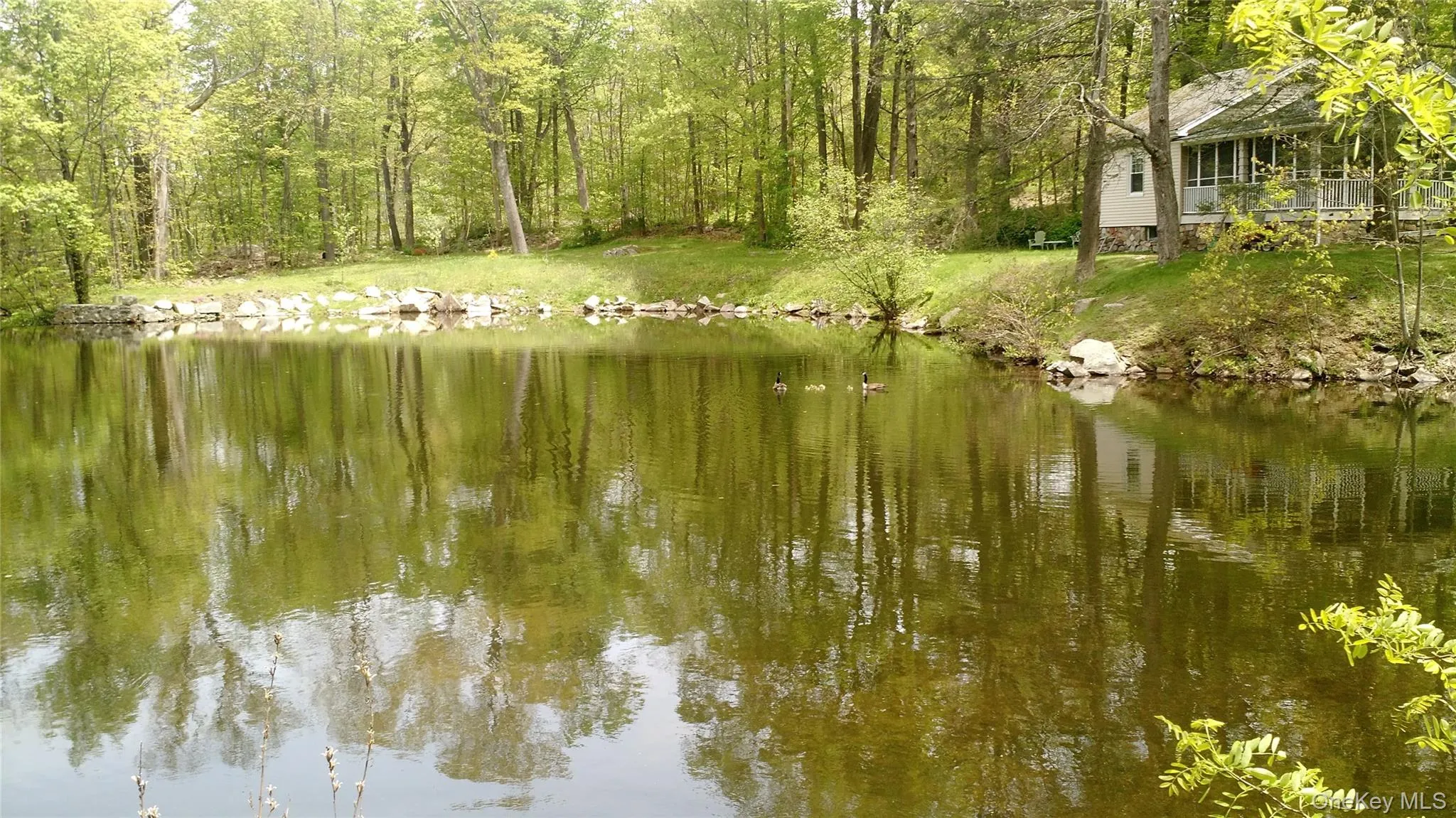 1 Mill Pond Lane, Warwick (town), NY, 2 Bedrooms Bedrooms, 4 Rooms Rooms,1 BathroomBathrooms,Residential Lease,For Rent,Mill Pond,0,995796 1 Mill Pond Lane, Warwick (town), NY, 2 Bedrooms Bedrooms, 4 Rooms Rooms,1 BathroomBathrooms,Residential Lease,For Rent,Mill Pond,0,995796