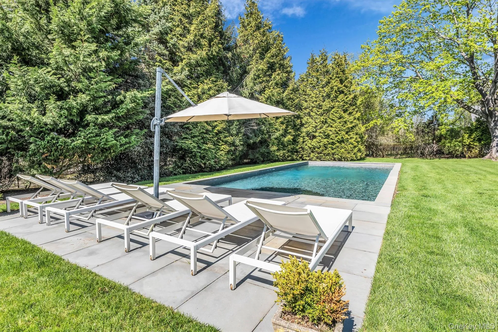 64 Howells Point Road, Brookhaven, NY, 7 Bedrooms Bedrooms, 12 Rooms Rooms,3 BathroomsBathrooms,Residential Sale,For Rent,Howells Point,0,995824 64 Howells Point Road, Brookhaven, NY, 7 Bedrooms Bedrooms, 12 Rooms Rooms,3 BathroomsBathrooms,Residential Sale,For Rent,Howells Point,0,995824