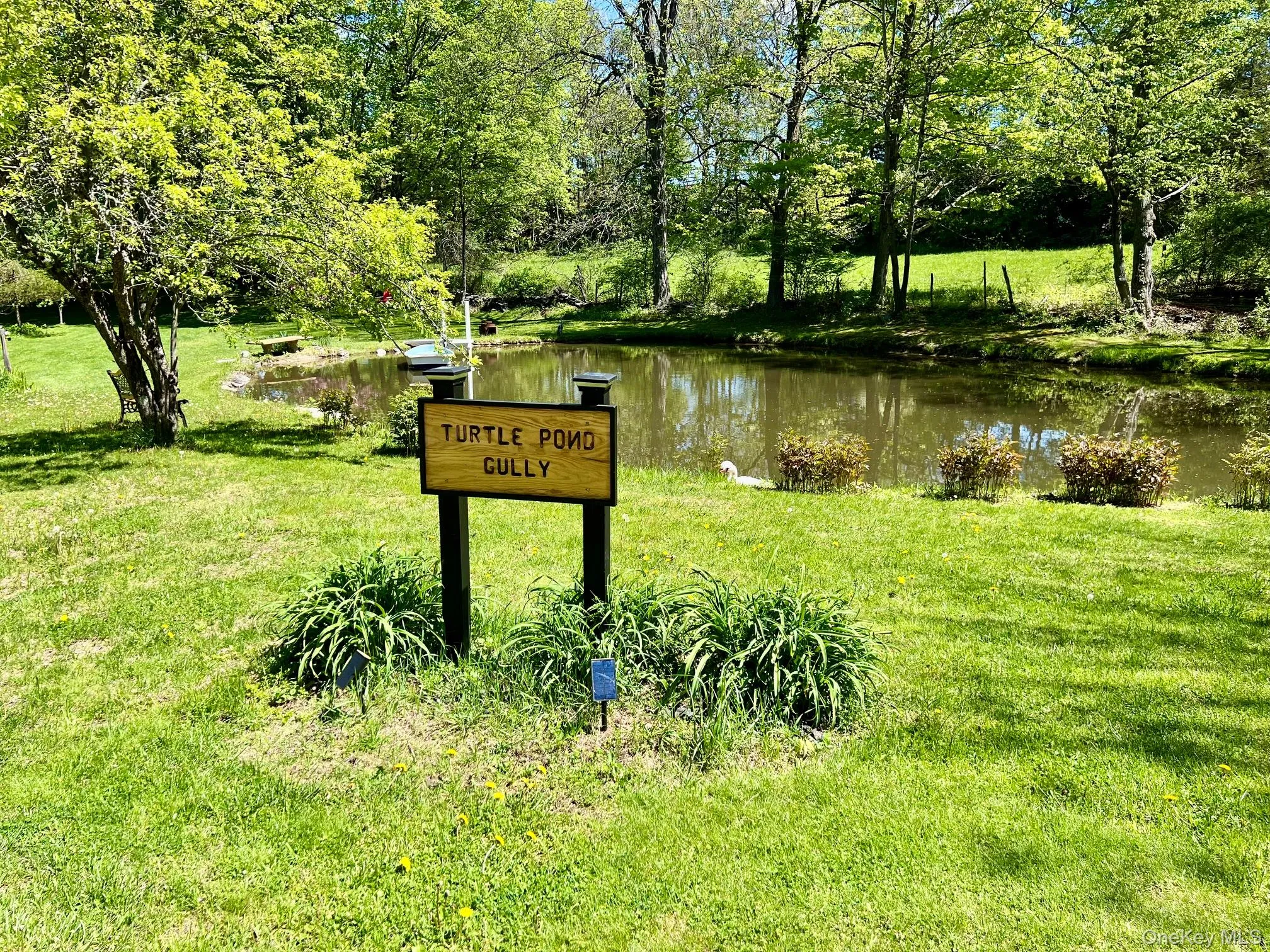 145 Drake Road, Pleasant Valley, NY, 2 Bedrooms Bedrooms, 7 Rooms Rooms,1 BathroomBathrooms,Residential,For Rent,Drake,0,995827 145 Drake Road, Pleasant Valley, NY, 2 Bedrooms Bedrooms, 7 Rooms Rooms,1 BathroomBathrooms,Residential,For Rent,Drake,0,995827