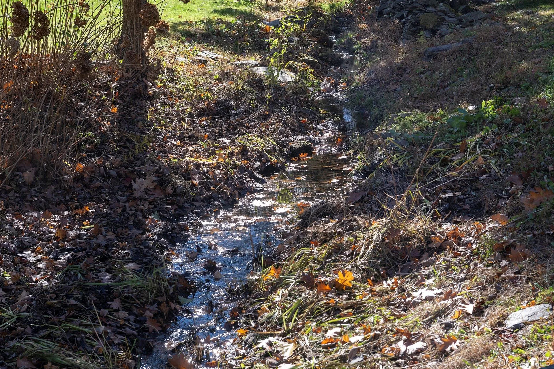 View of seasonal stream View of seasonal stream